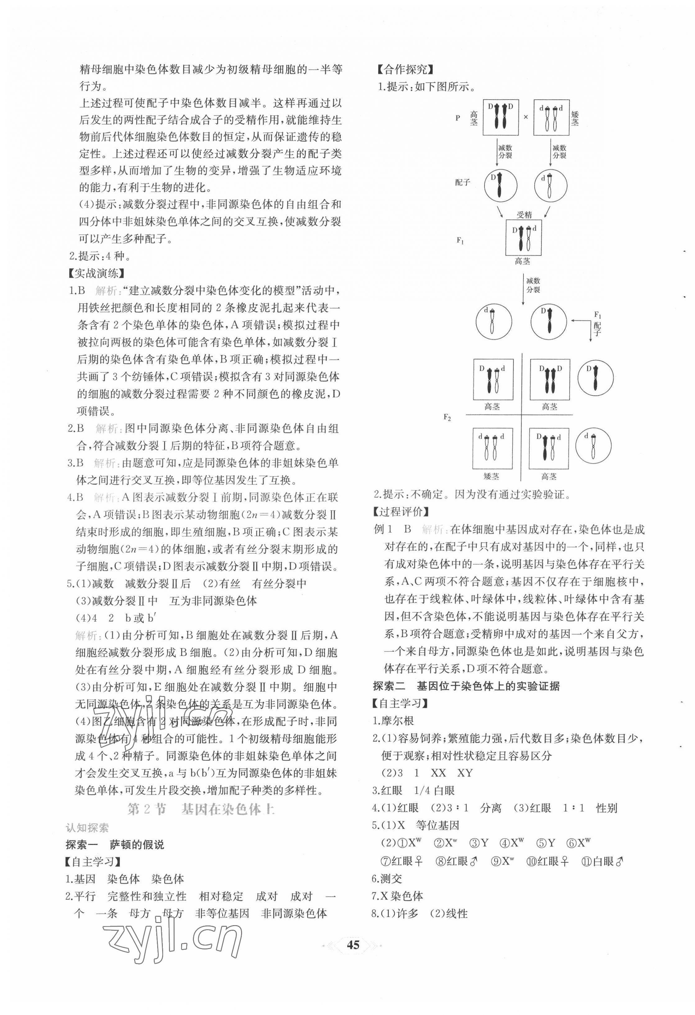 2022年新課程學(xué)習(xí)評(píng)價(jià)方案課時(shí)練高中生物必修2人教版 第13頁