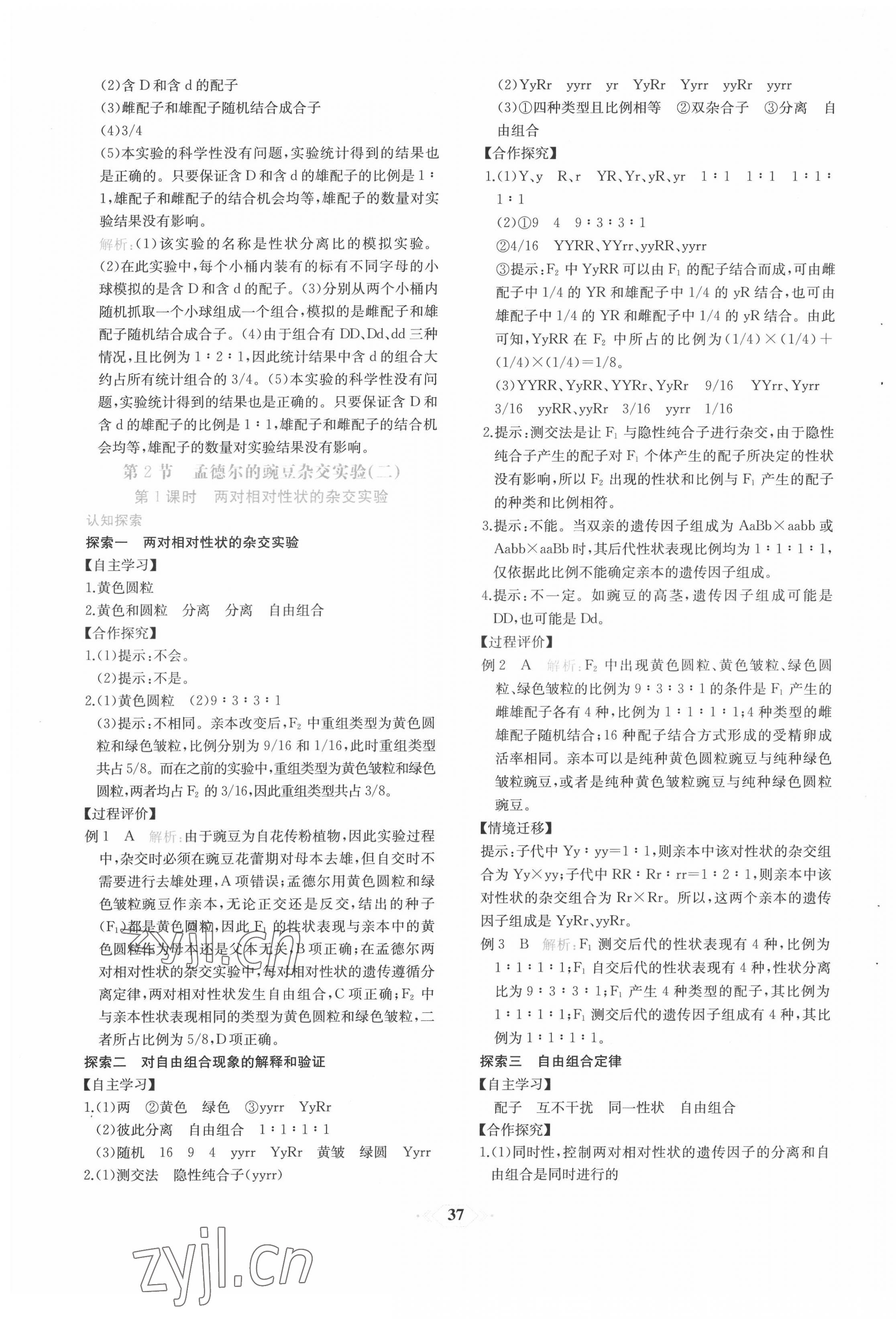 2022年新課程學(xué)習(xí)評價方案課時練高中生物必修2人教版 第5頁