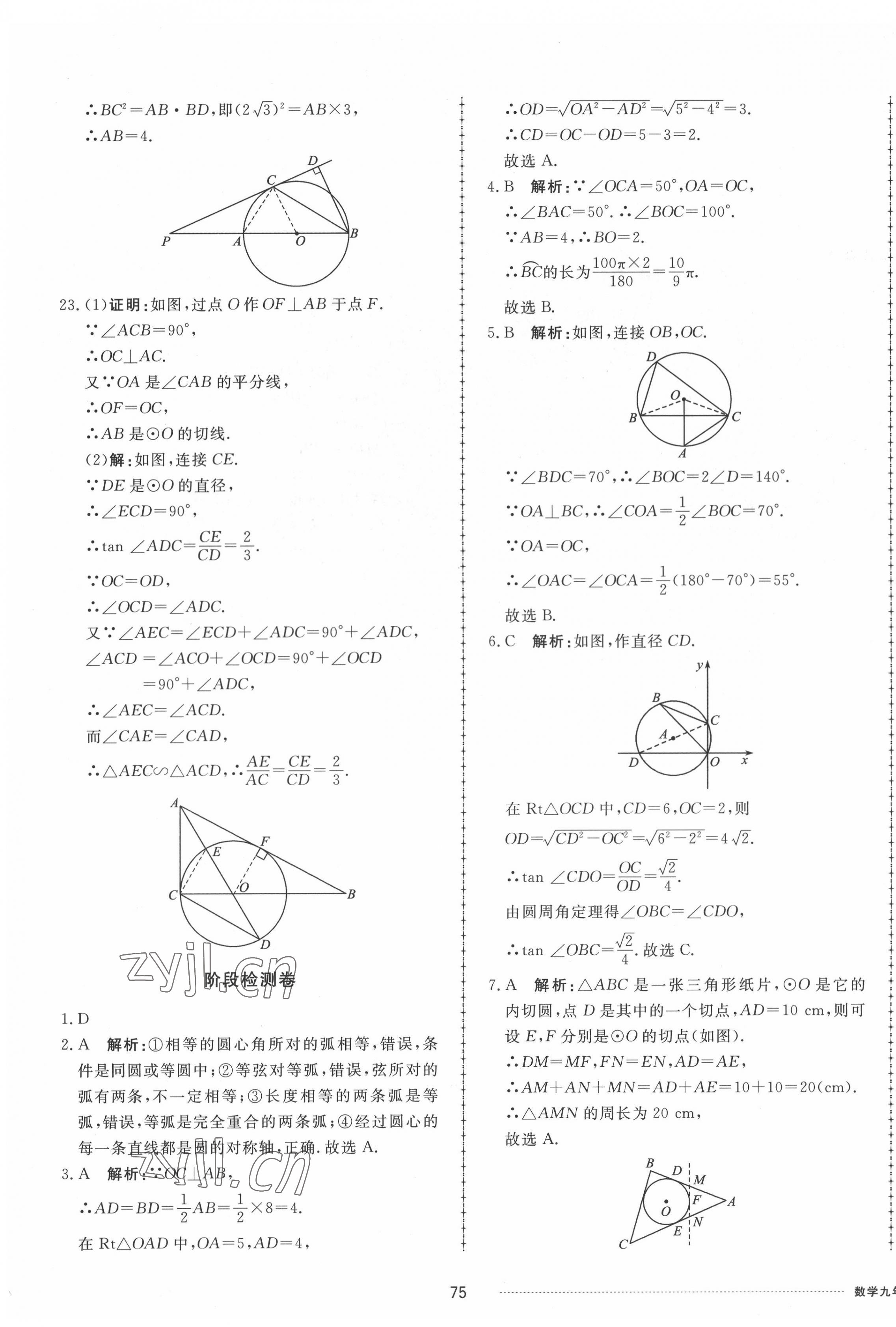 2022年同步练习册配套单元检测卷九年级数学下册鲁教版五四制 第3页