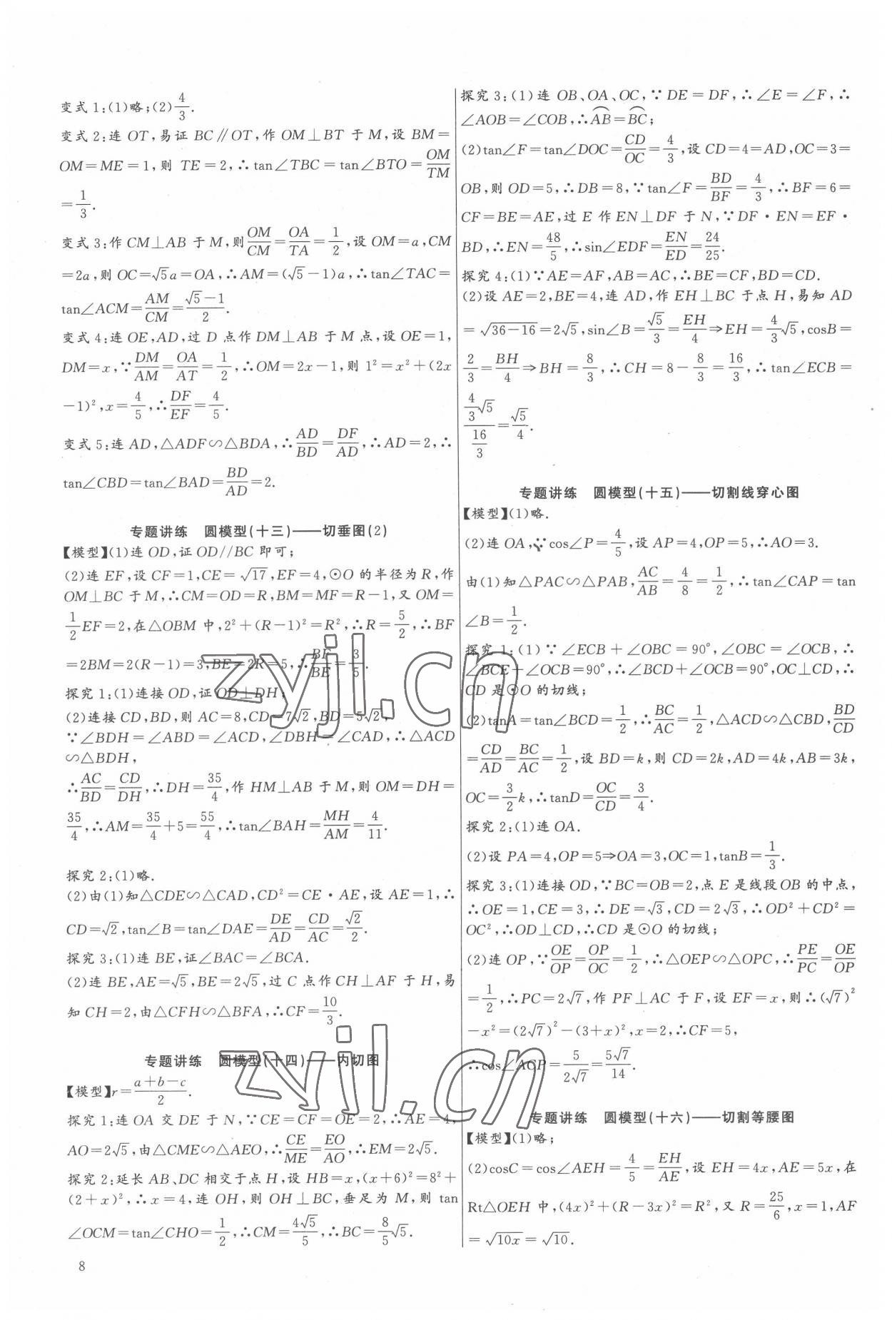 2022年思維新觀察中考數(shù)學(xué)中考核心考題專題復(fù)習(xí) 第8頁