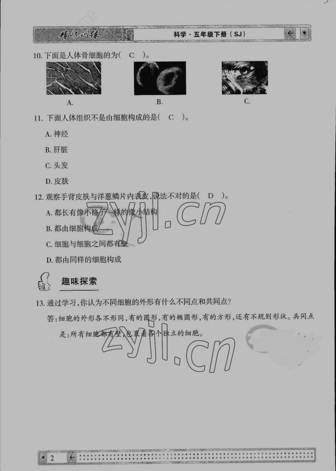 2022年學(xué)生課程精巧訓(xùn)練五年級科學(xué)下冊蘇教版 參考答案第2頁