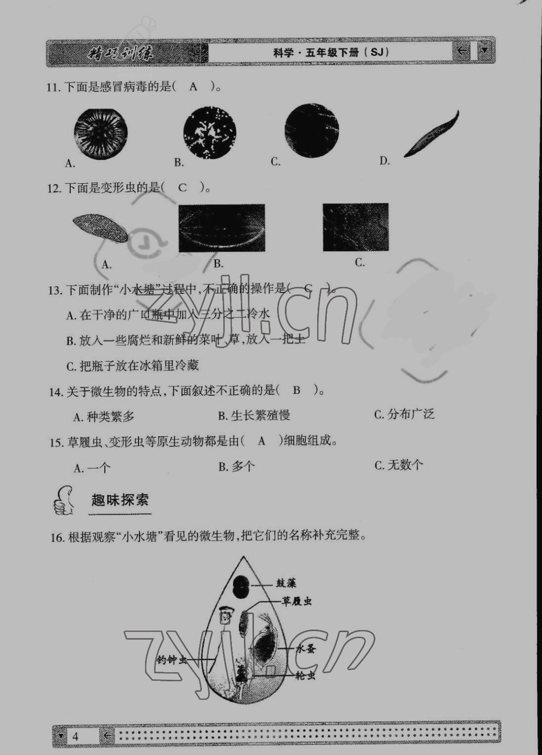 2022年學(xué)生課程精巧訓(xùn)練五年級科學(xué)下冊蘇教版 參考答案第4頁