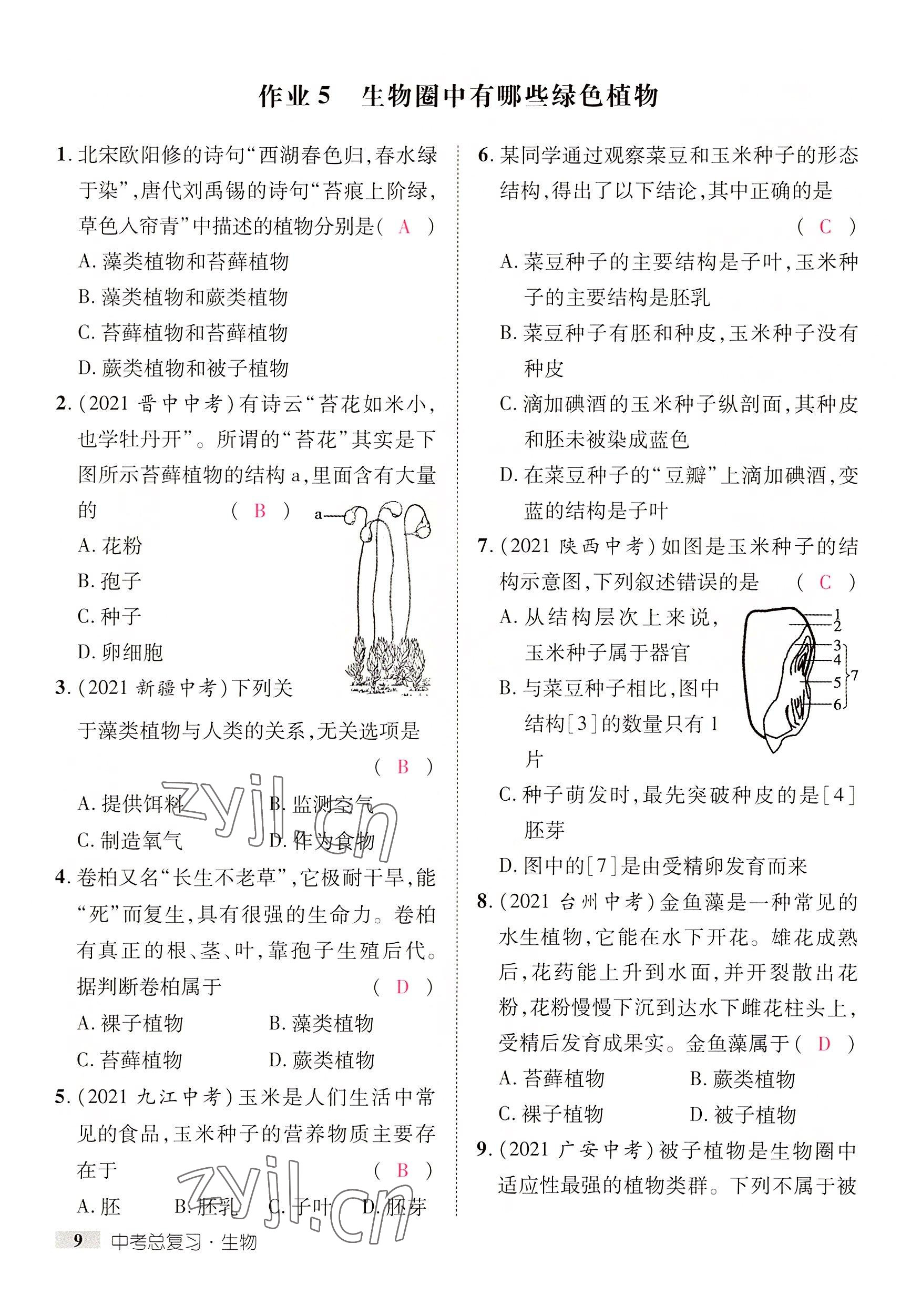 2022年中考新方向湖北科學技術出版社生物 參考答案第18頁