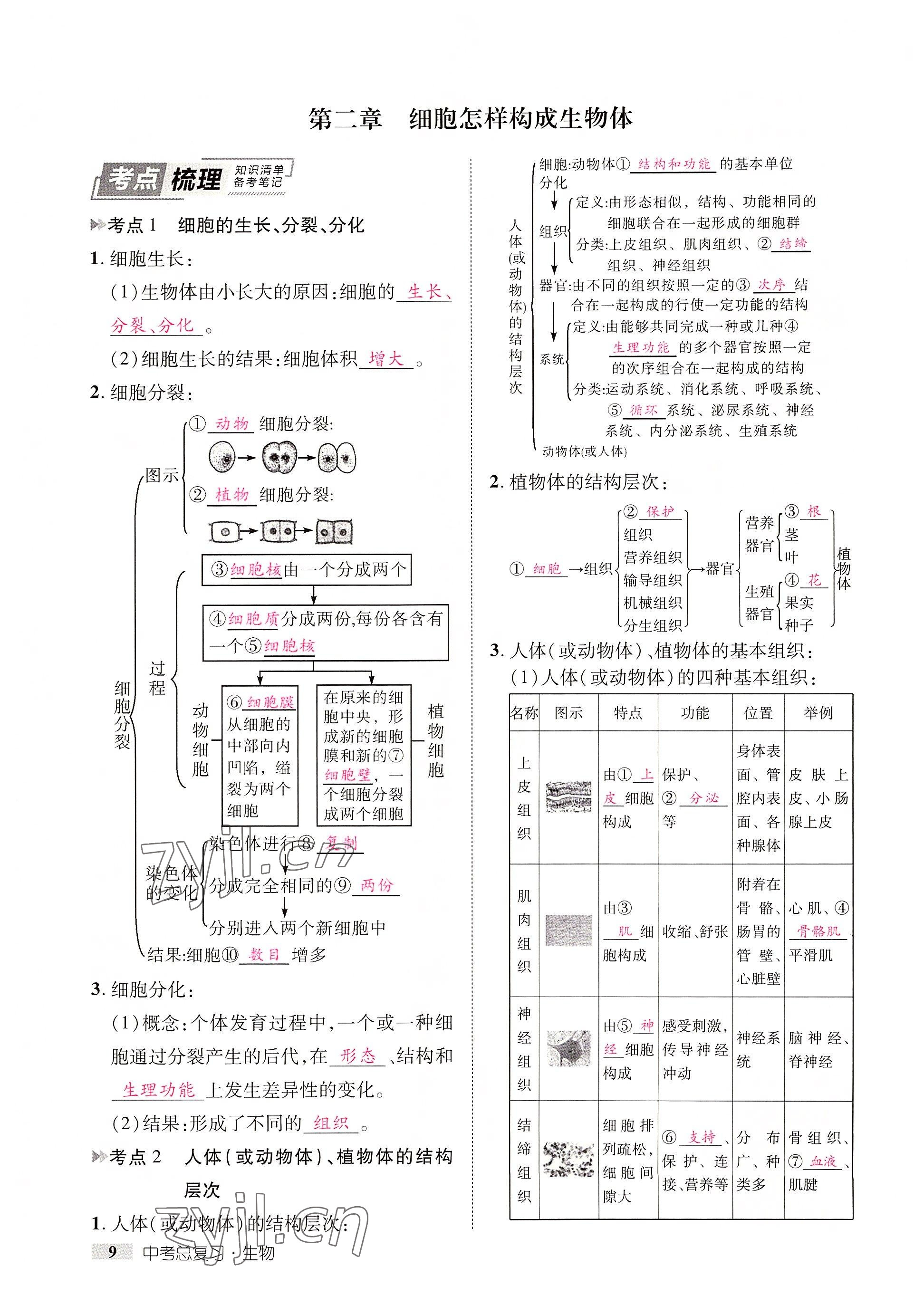 2022年中考新方向湖北科學(xué)技術(shù)出版社生物 參考答案第17頁