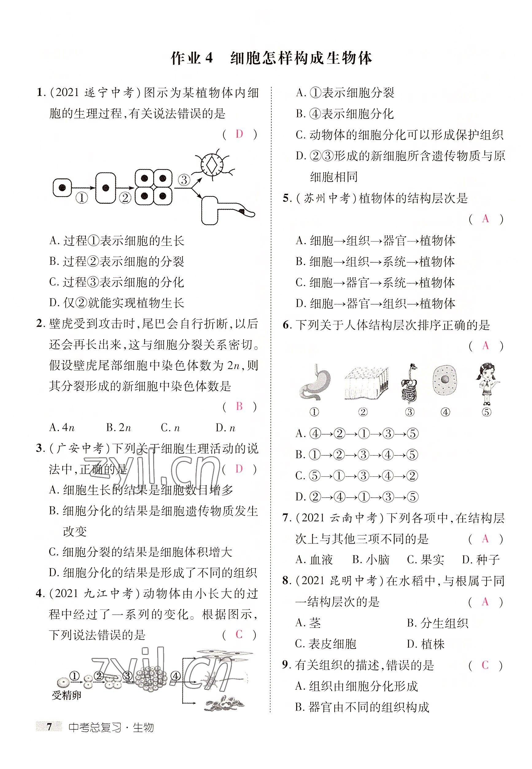 2022年中考新方向湖北科學(xué)技術(shù)出版社生物 參考答案第14頁