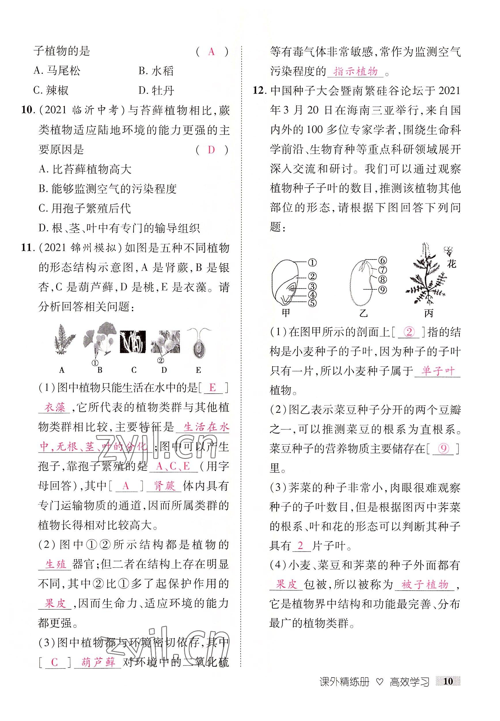 2022年中考新方向湖北科學(xué)技術(shù)出版社生物 參考答案第20頁