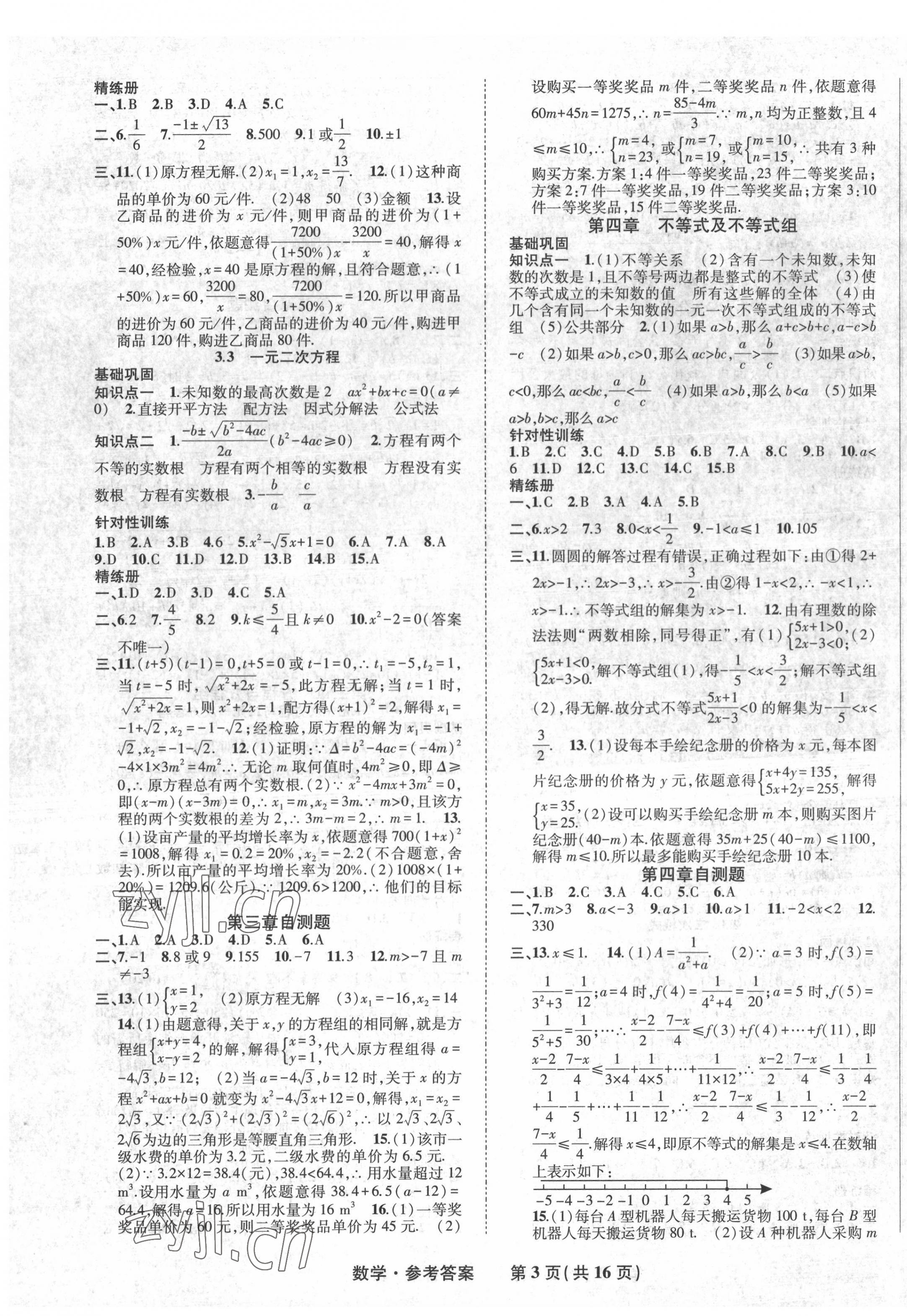 2022年九年级毕业班综合练习与检测数学中考 第3页