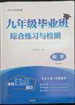 2022年九年級畢業(yè)班綜合練習(xí)與檢測數(shù)學(xué)中考