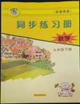 2022年同步練習冊九年級數學下冊冀教版河北教育出版社