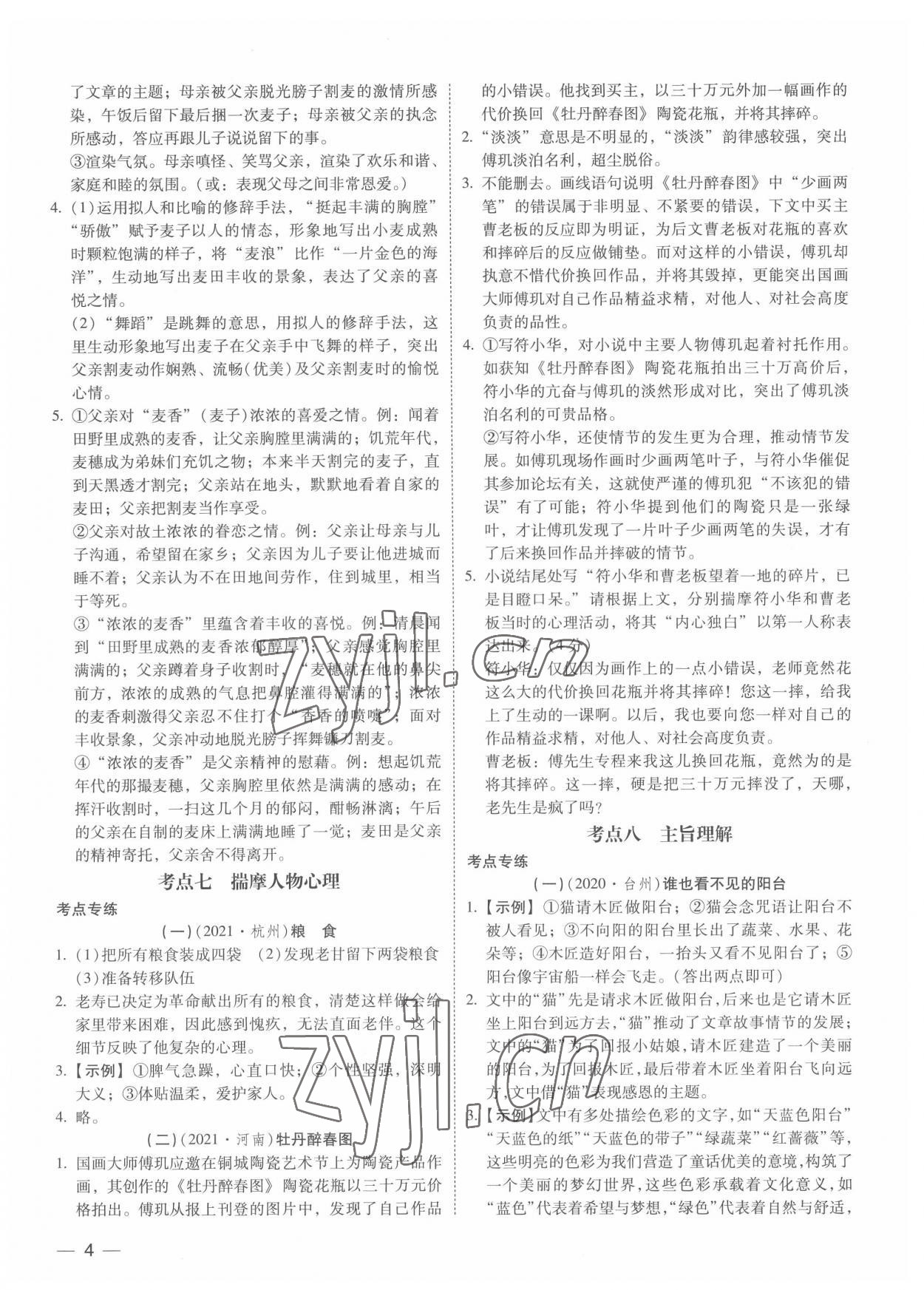 2022年中考寶典現(xiàn)代文閱讀技能訓練語文中考 參考答案第3頁