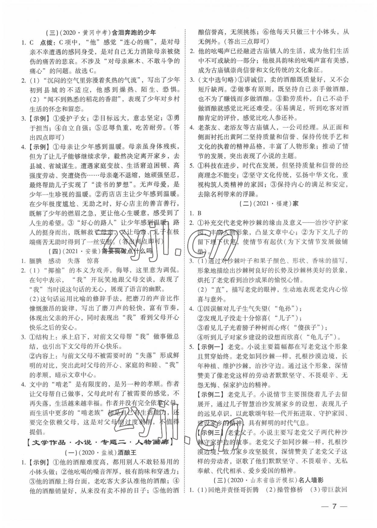 2022年中考寶典現(xiàn)代文閱讀技能訓練語文中考 參考答案第6頁