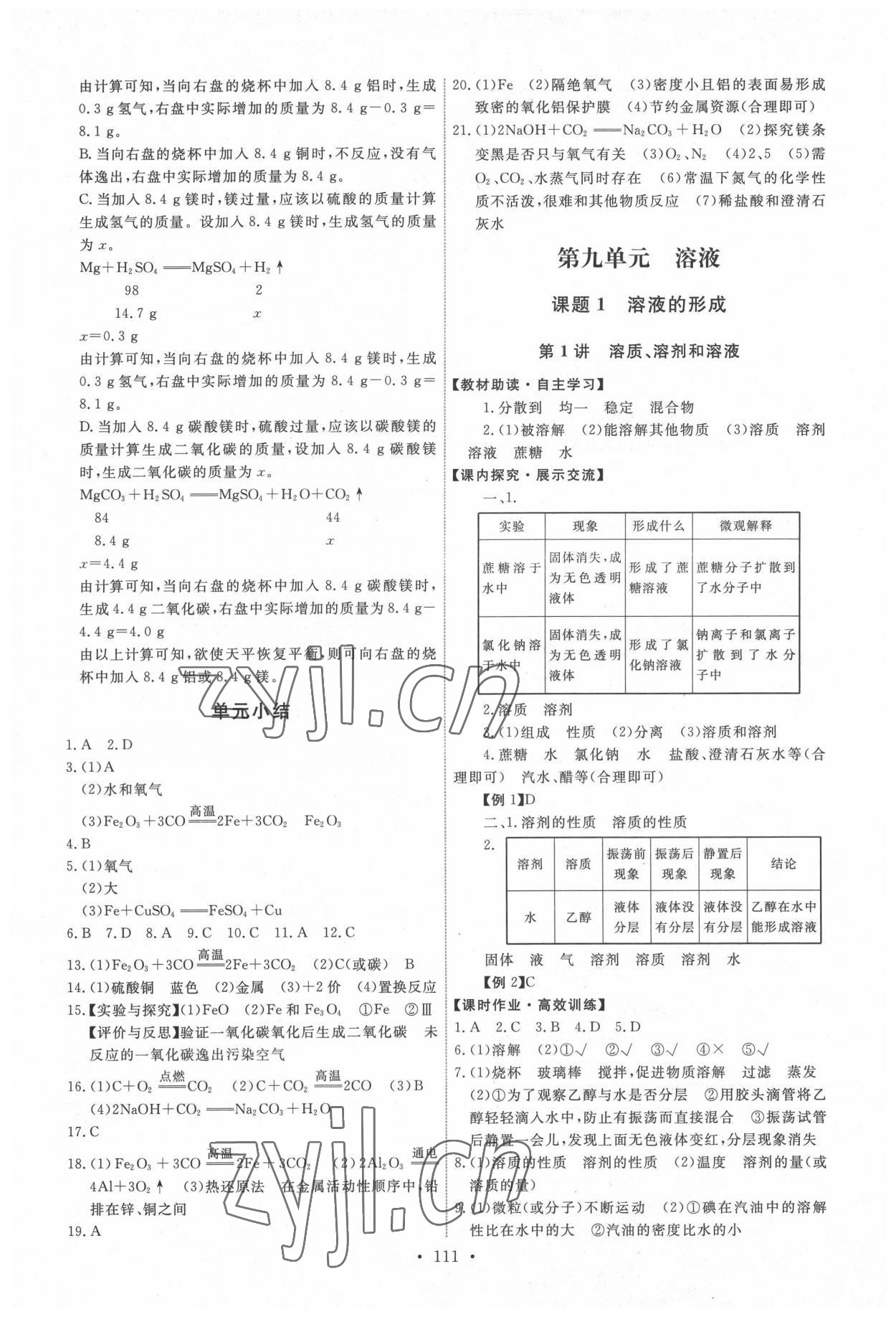 2022年能力培养与测试九年级化学下册人教版湖南专版 第5页