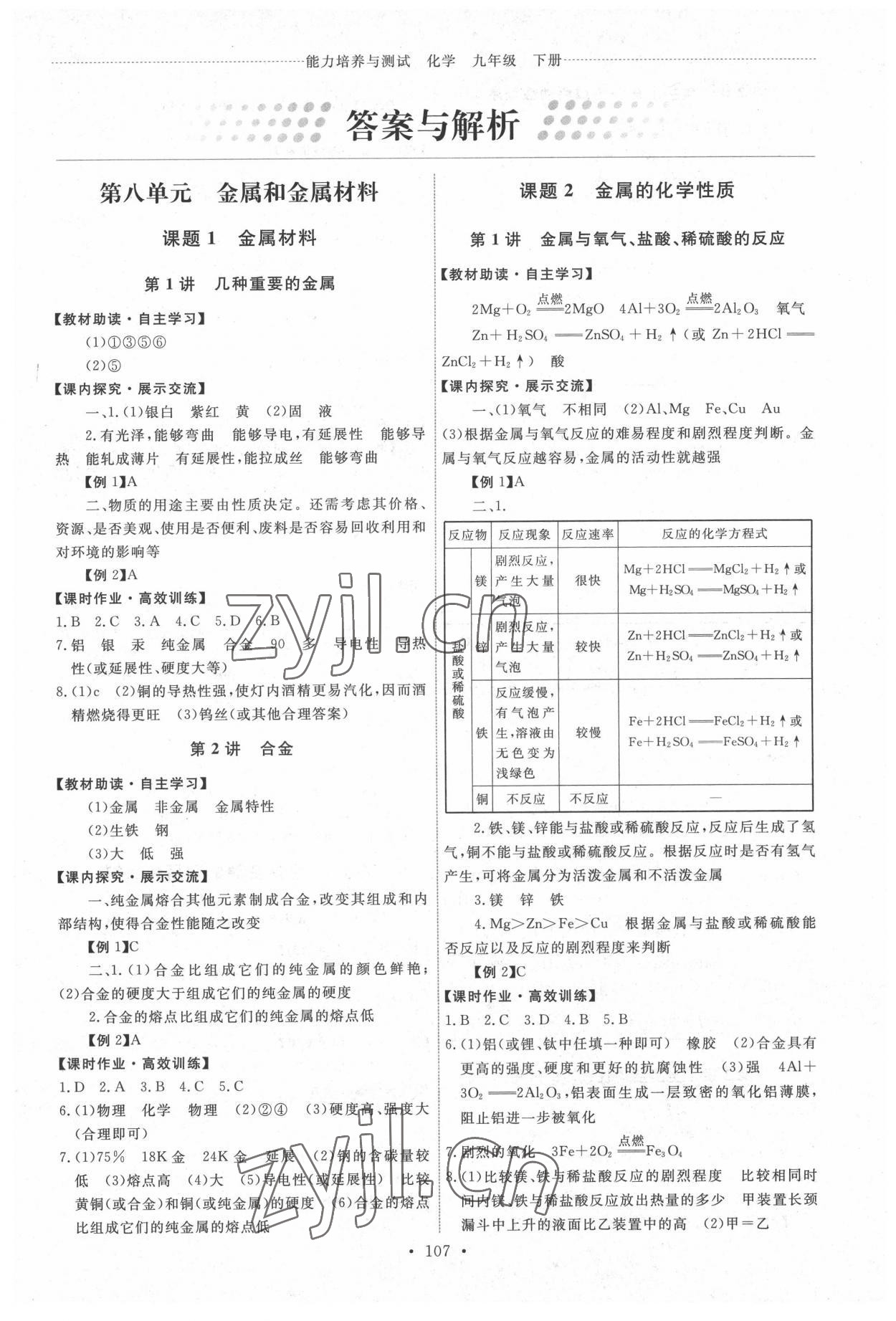 2022年能力培养与测试九年级化学下册人教版湖南专版 第1页