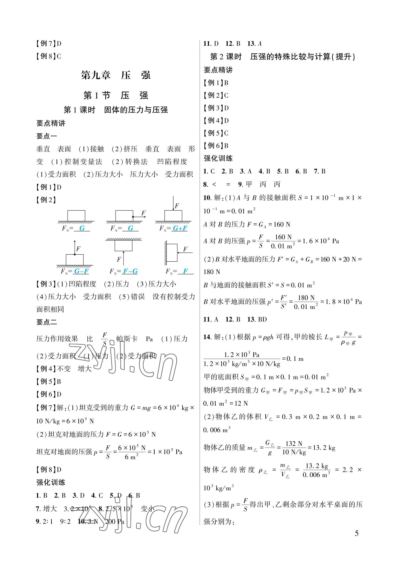 2022年物理一號(hào)八年級(jí)物理下冊(cè)教科版 參考答案第5頁