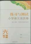 2022年練習(xí)與測試小學(xué)語文活頁卷六年級下冊人教版