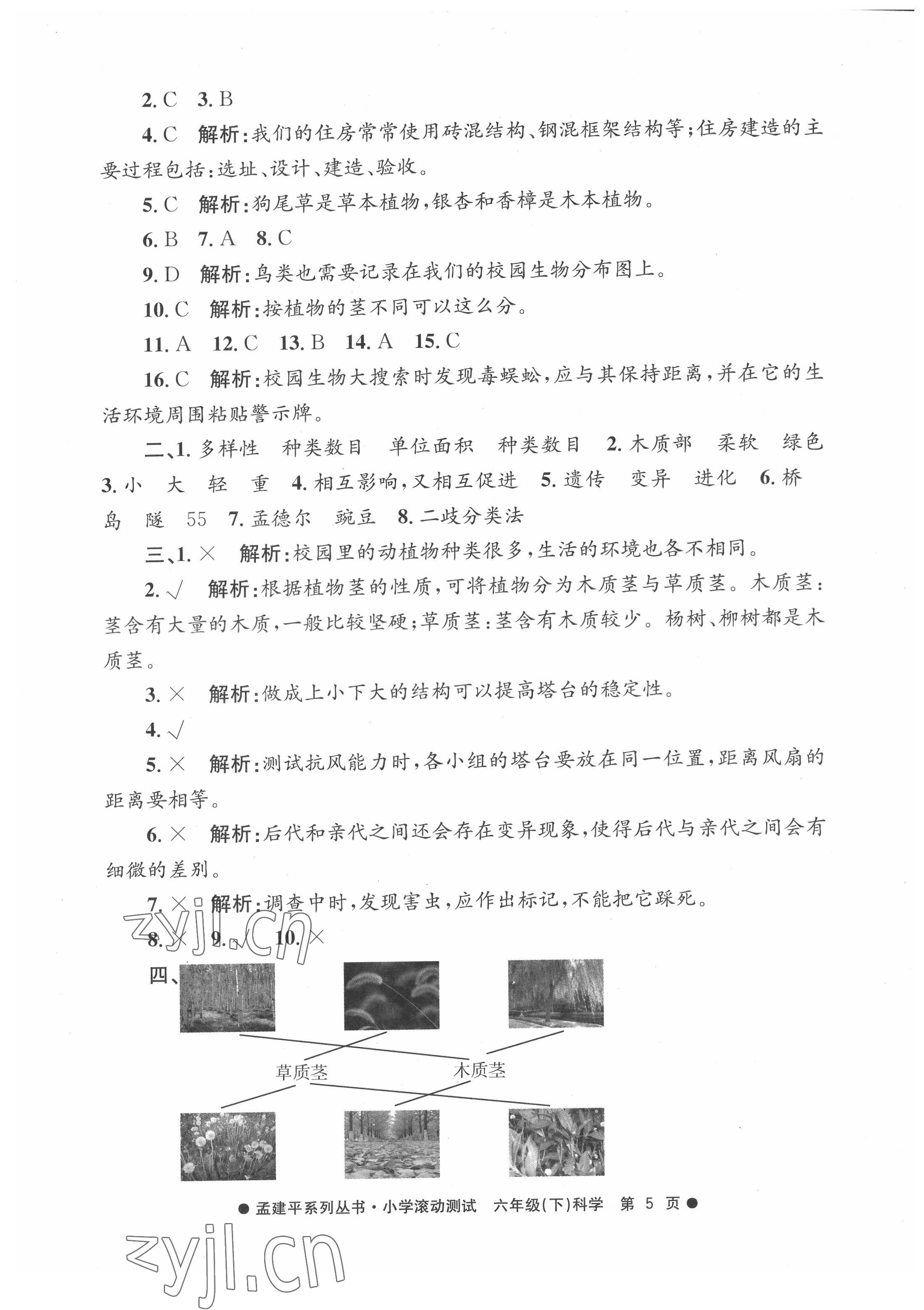 2022年孟建平小學(xué)滾動(dòng)測(cè)試六年級(jí)科學(xué)下冊(cè)教科版 第5頁