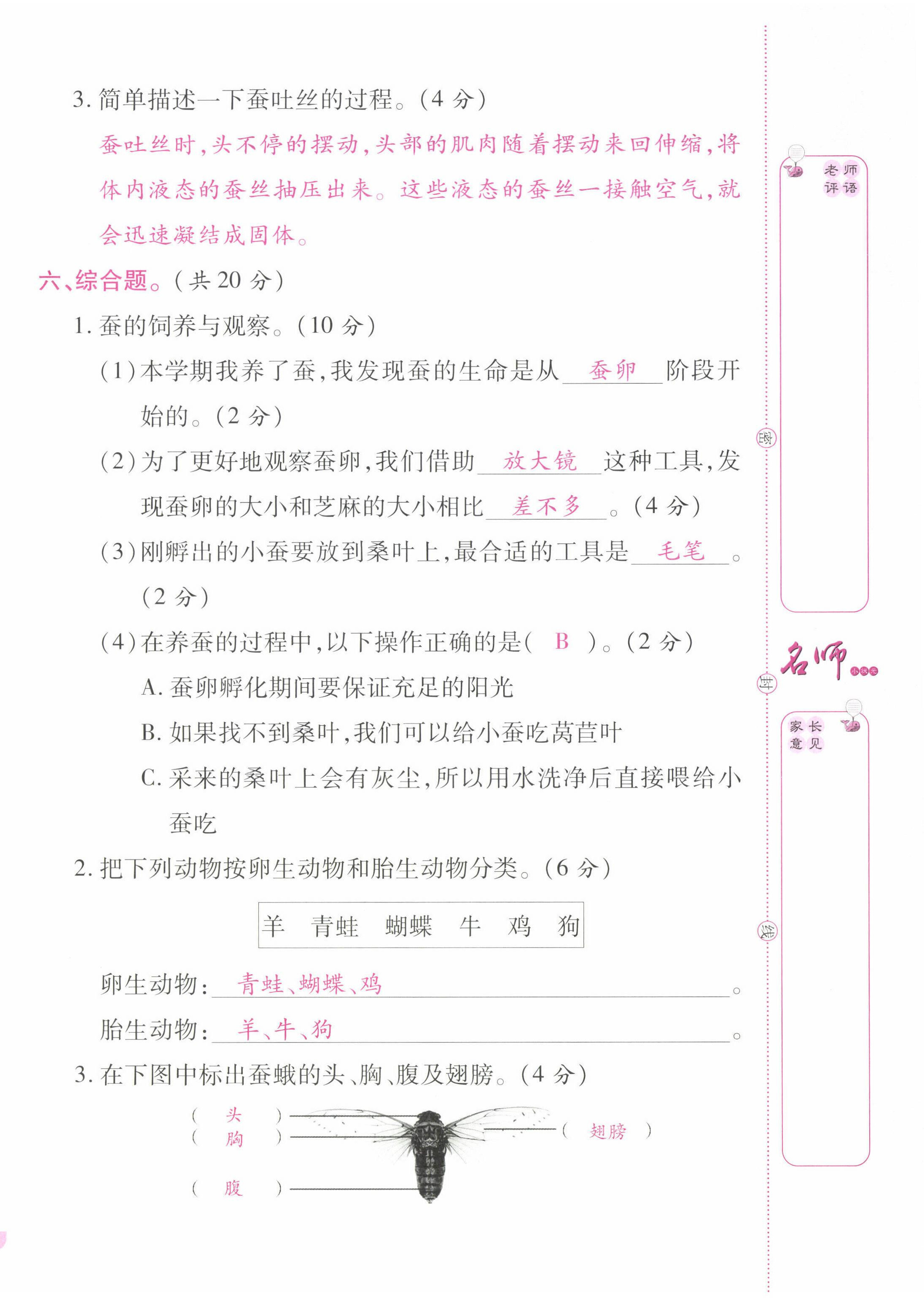 2022年名師小狀元課時(shí)作業(yè)本三年級(jí)科學(xué)下冊(cè)教科版 第8頁(yè)