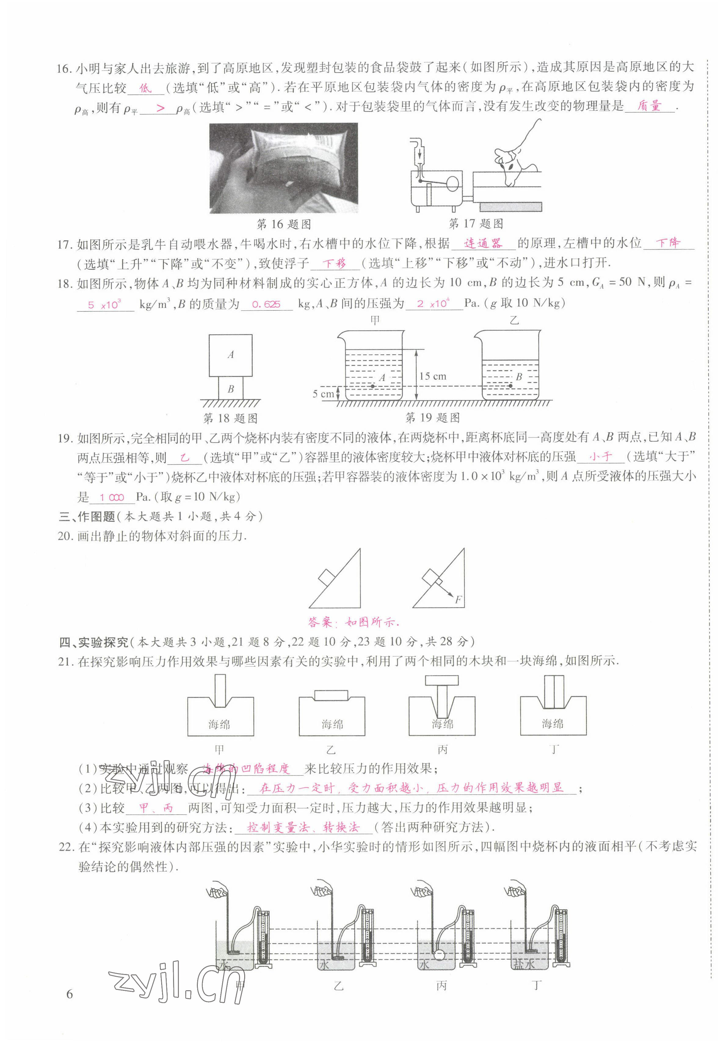 2022年我的作業(yè)八年級物理下冊教科版 第11頁