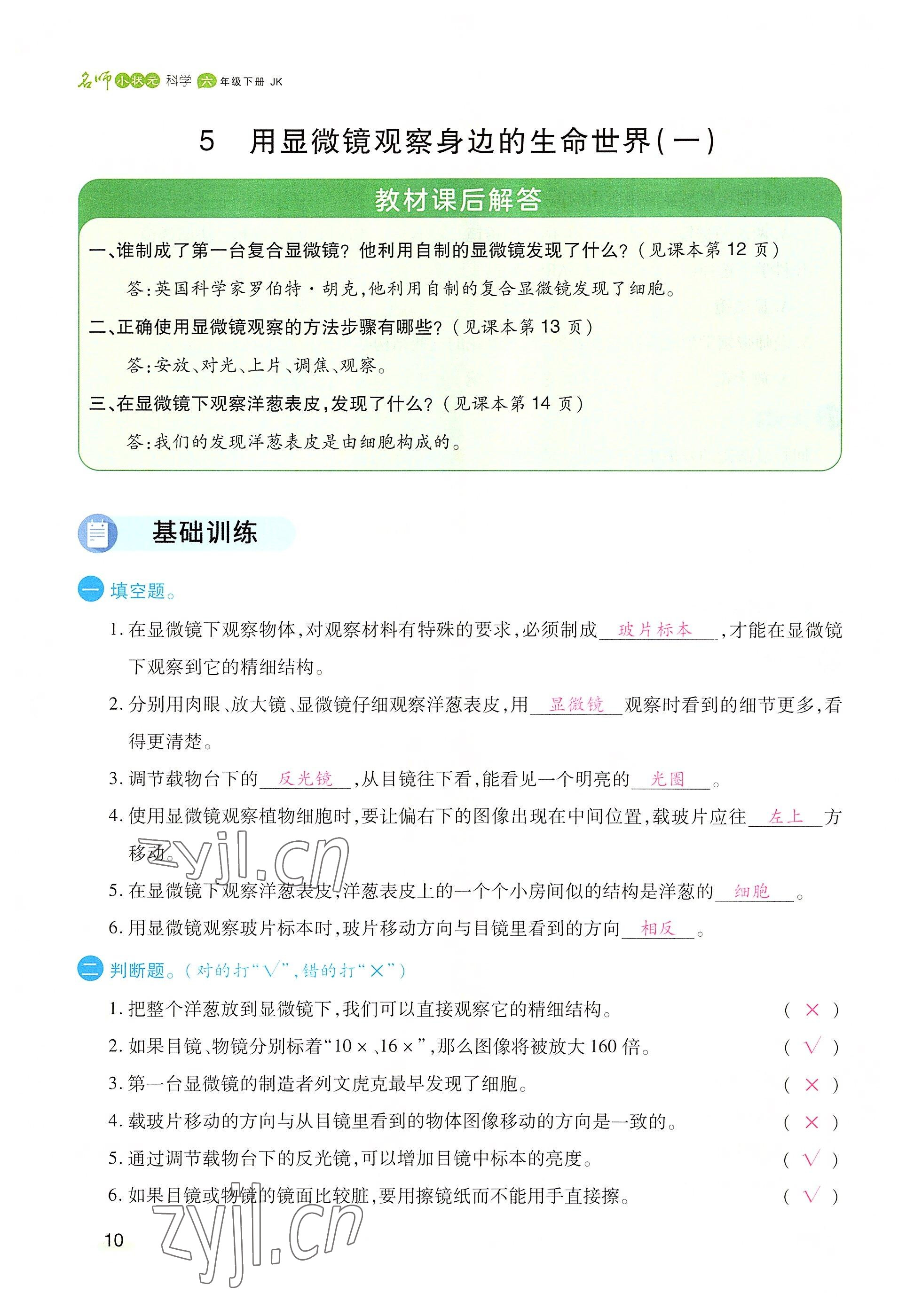 2022年名師小狀元課時(shí)作業(yè)本六年級(jí)科學(xué)下冊(cè)教科版 參考答案第10頁(yè)