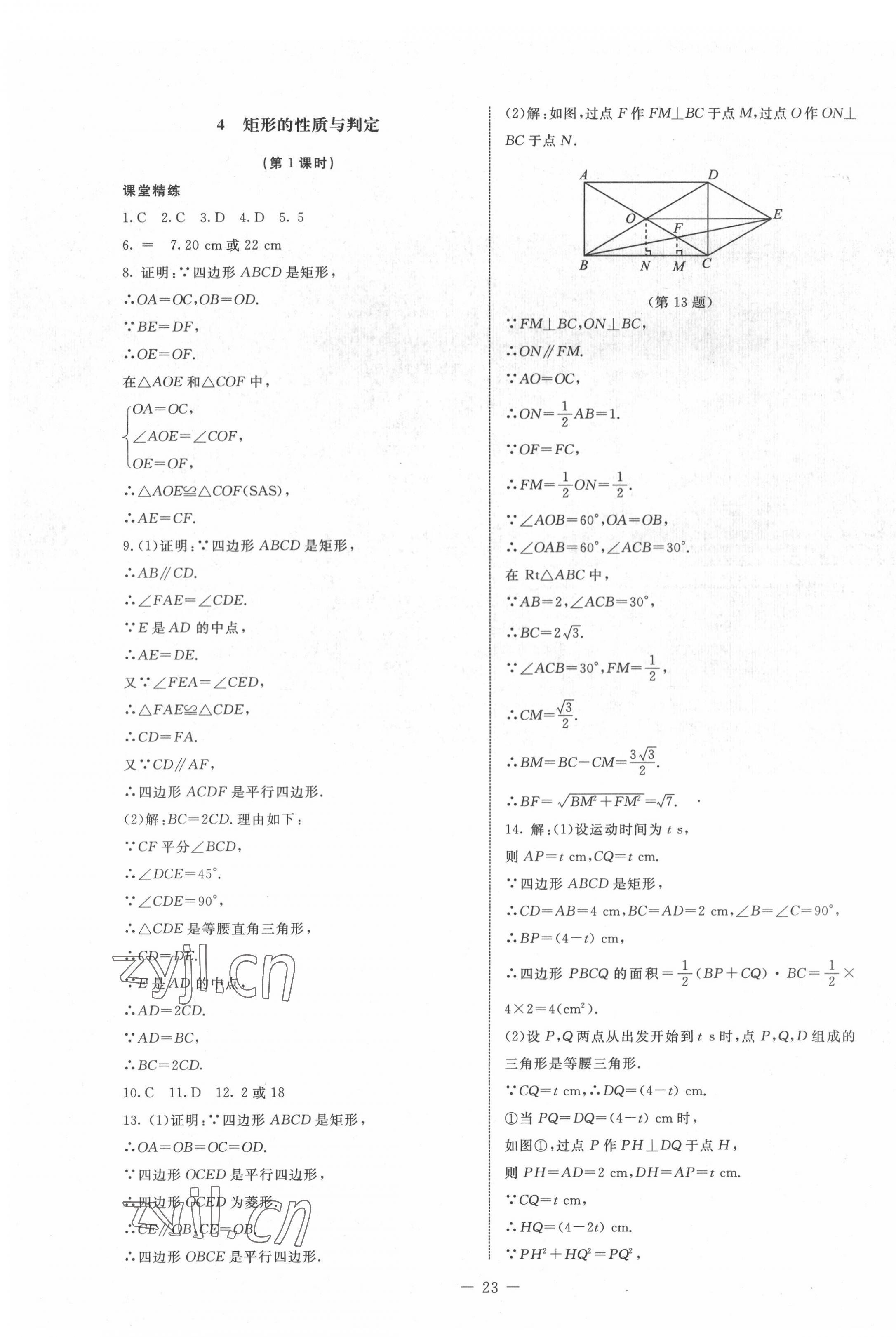 2022年初中同步練習(xí)冊(cè)八年級(jí)數(shù)學(xué)下冊(cè)魯教版54制北京師范大學(xué)出版社 參考答案第3頁