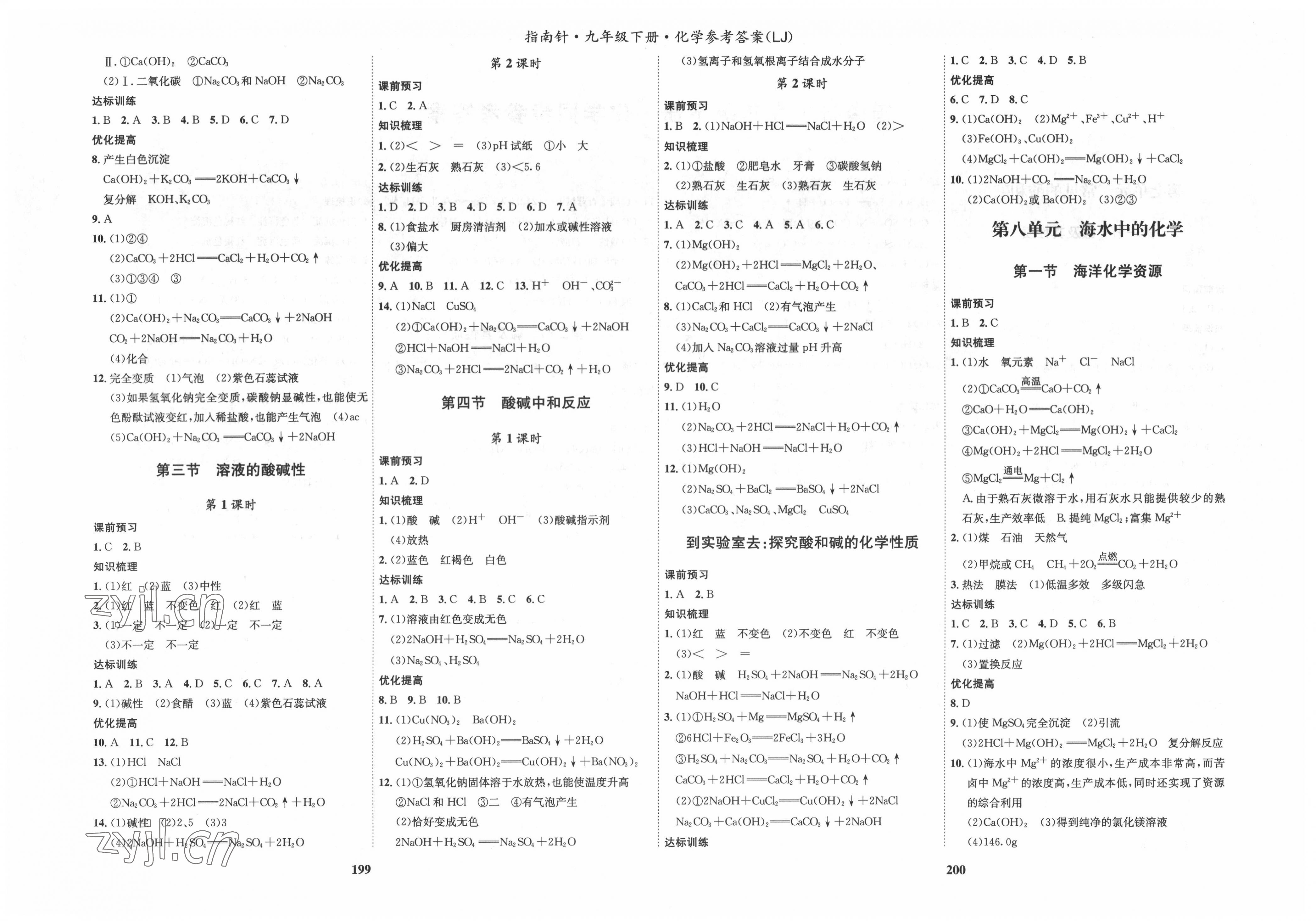 2022年指南針導(dǎo)學(xué)探究九年級化學(xué)下冊魯教版 第2頁