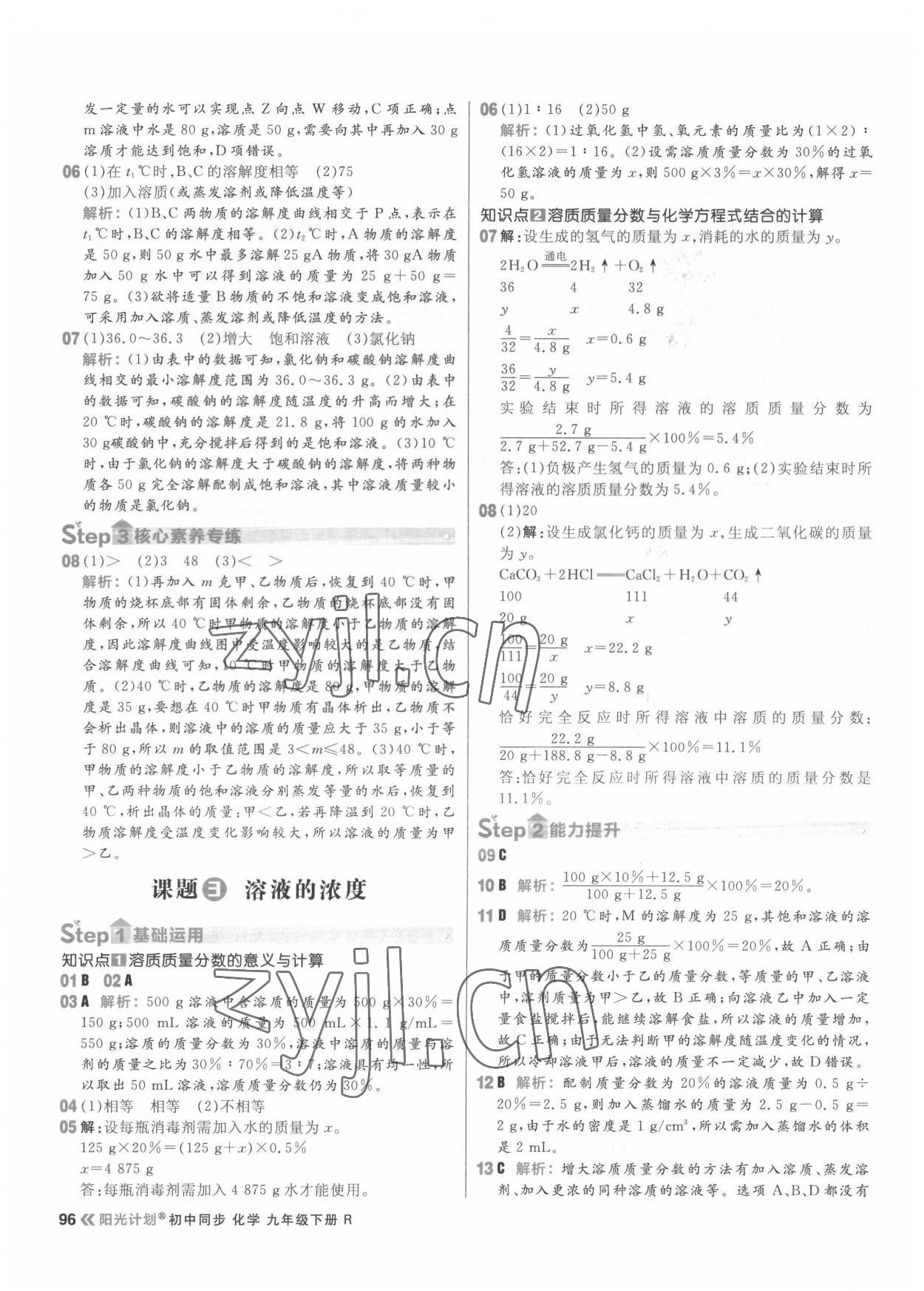 2022年陽光計(jì)劃初中同步九年級化學(xué)下冊人教版 第12頁