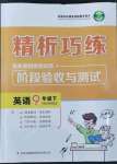 2022年精析巧練九年級英語下冊人教版