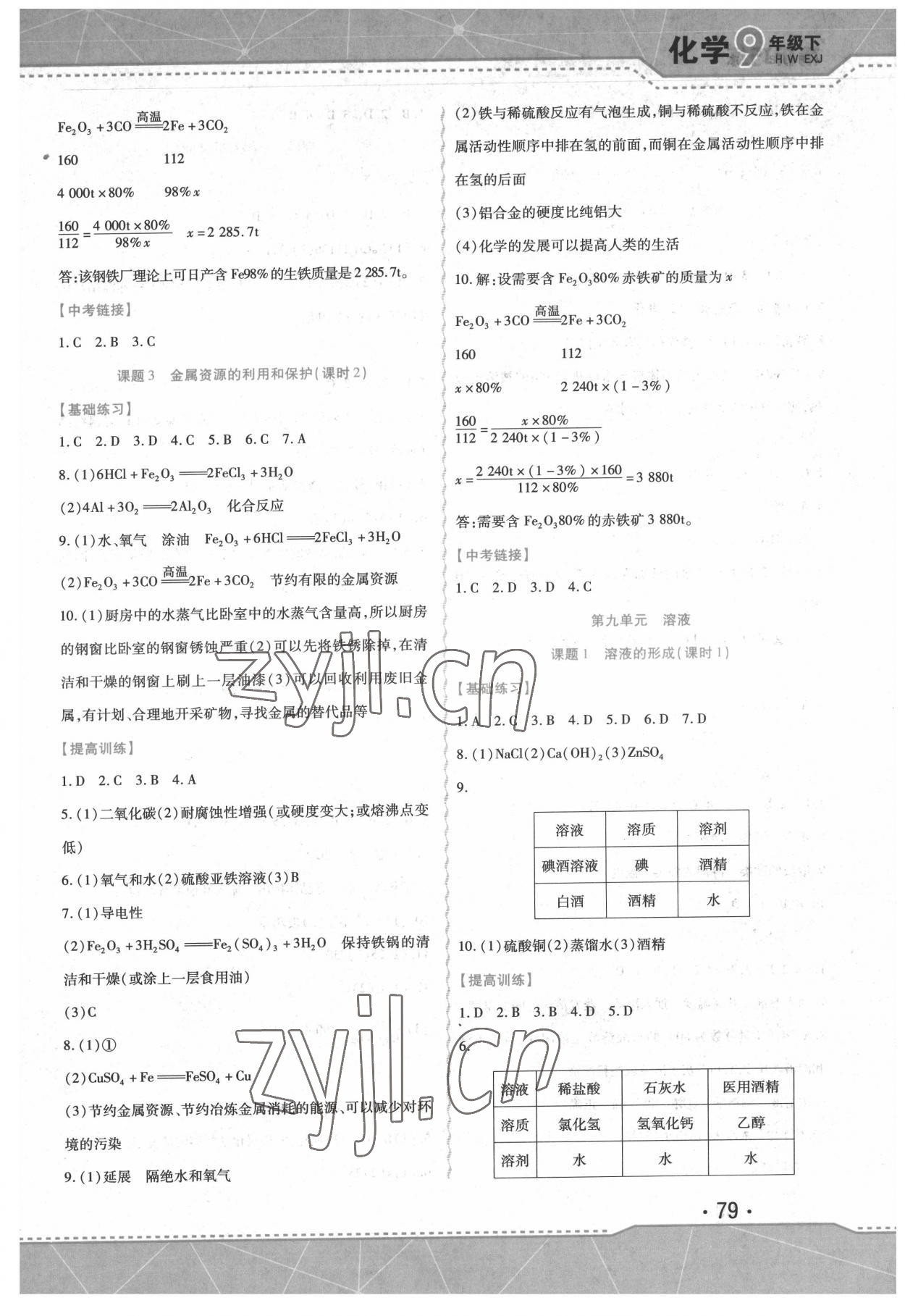 2022年精析巧练九年级化学下册人教版 第3页