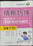 2022年精析巧練九年級(jí)化學(xué)下冊(cè)人教版