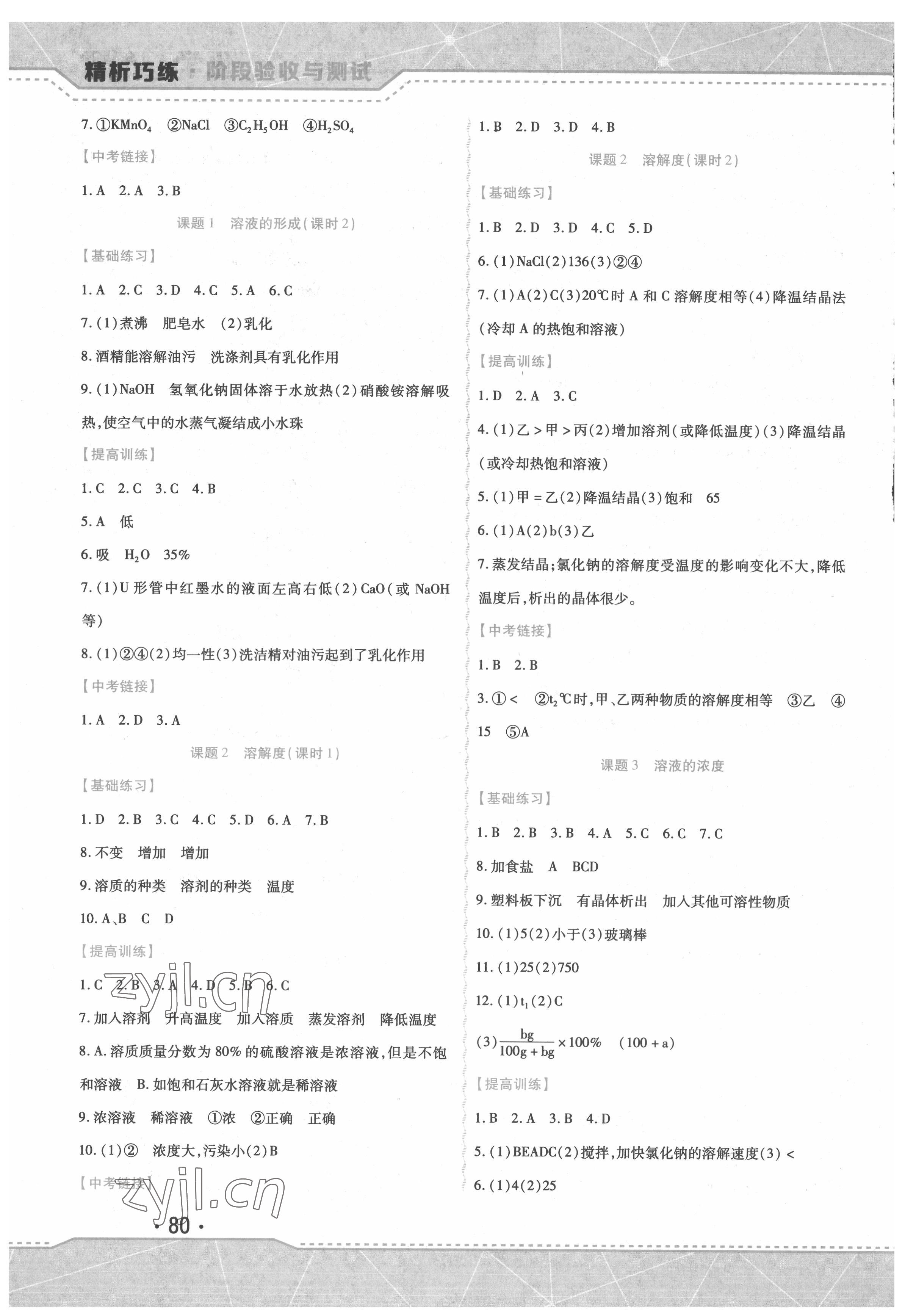 2022年精析巧练九年级化学下册人教版 第4页