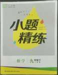 2022年通城學(xué)典小題精練九年級(jí)數(shù)學(xué)下冊(cè)人教版