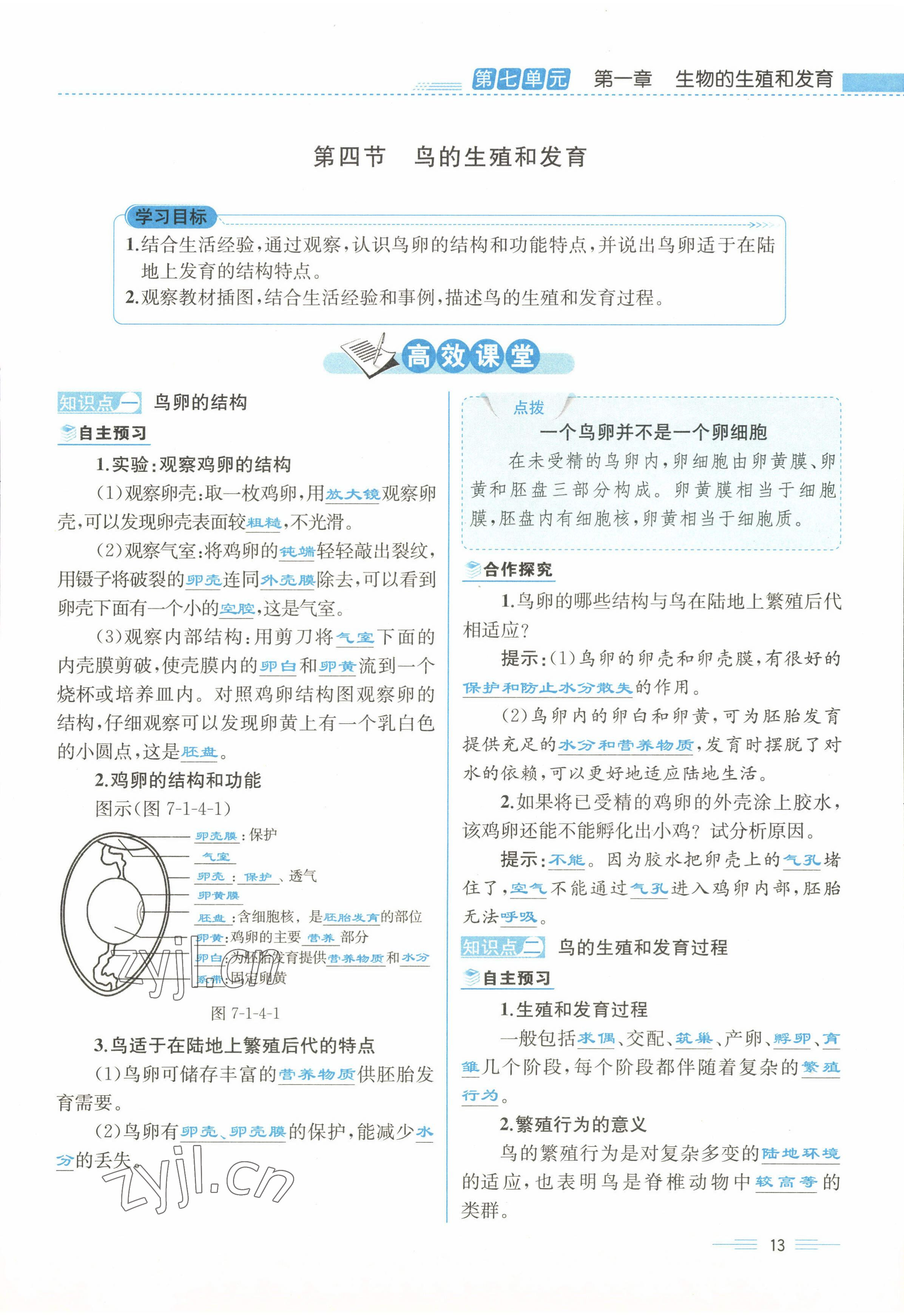 2022年人教金学典同步解析与测评八年级生物下册人教版云南专版 参考答案第13页