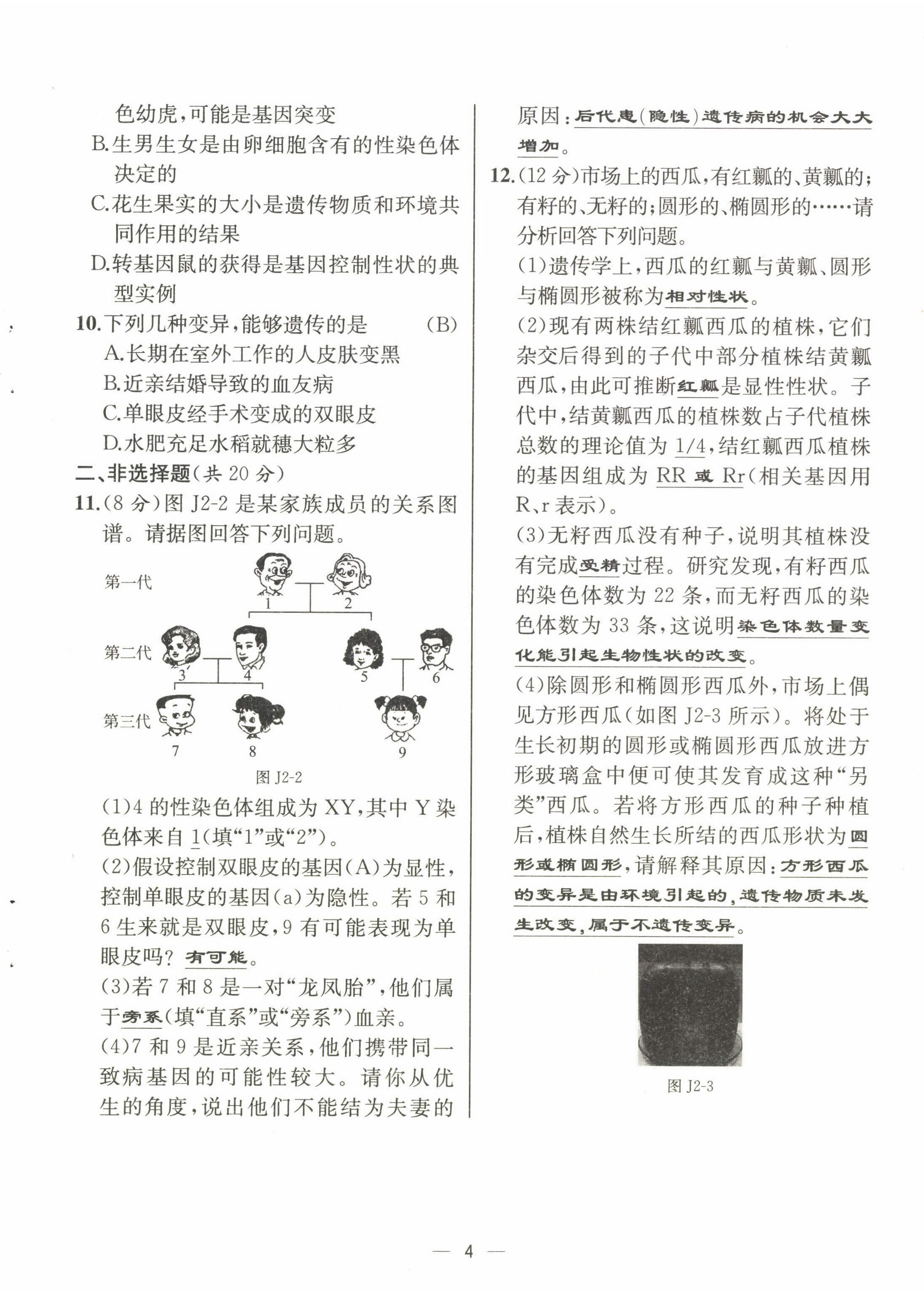 2022年人教金学典同步解析与测评八年级生物下册人教版云南专版&nbsp;第4页