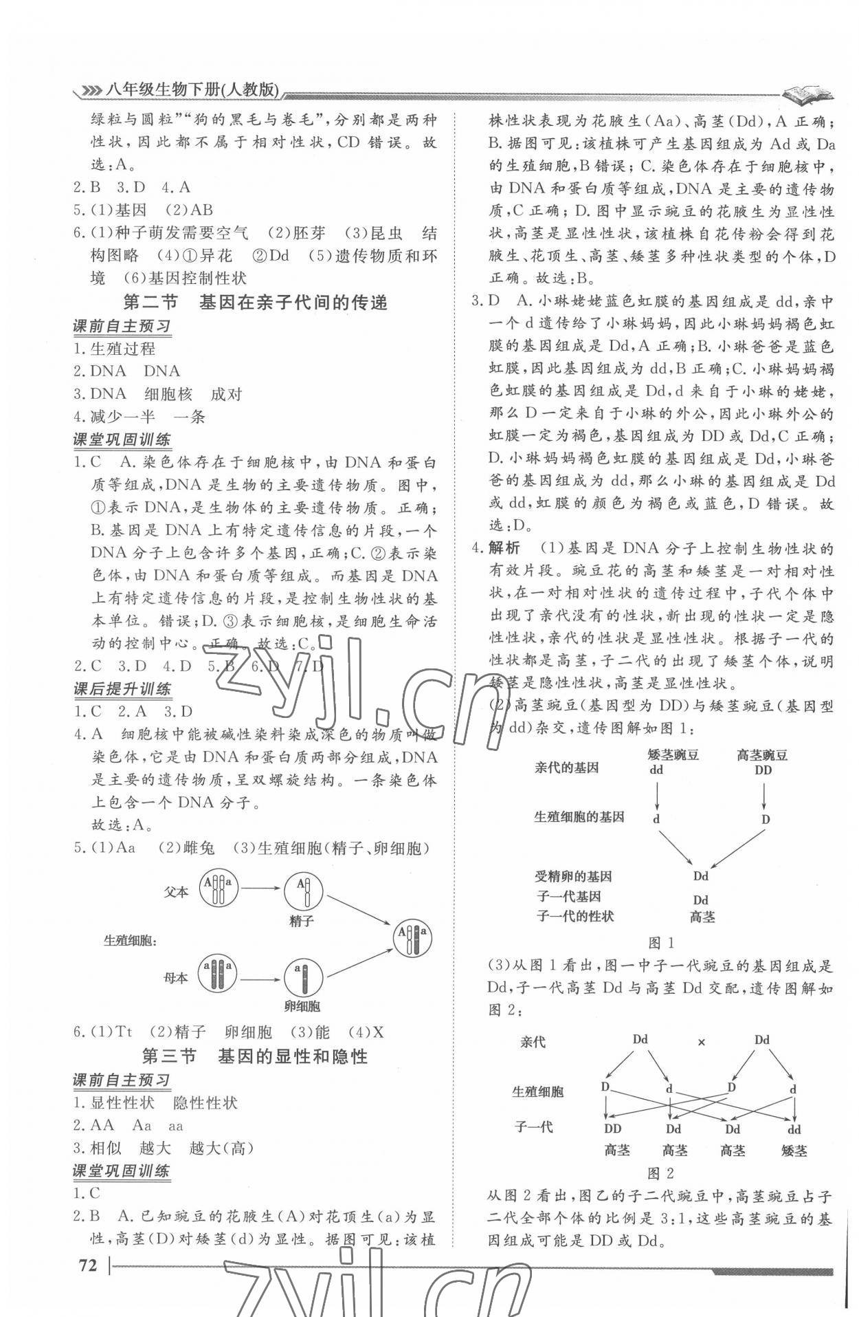2022年标准课堂八年级生物下册人教版&nbsp;第6页