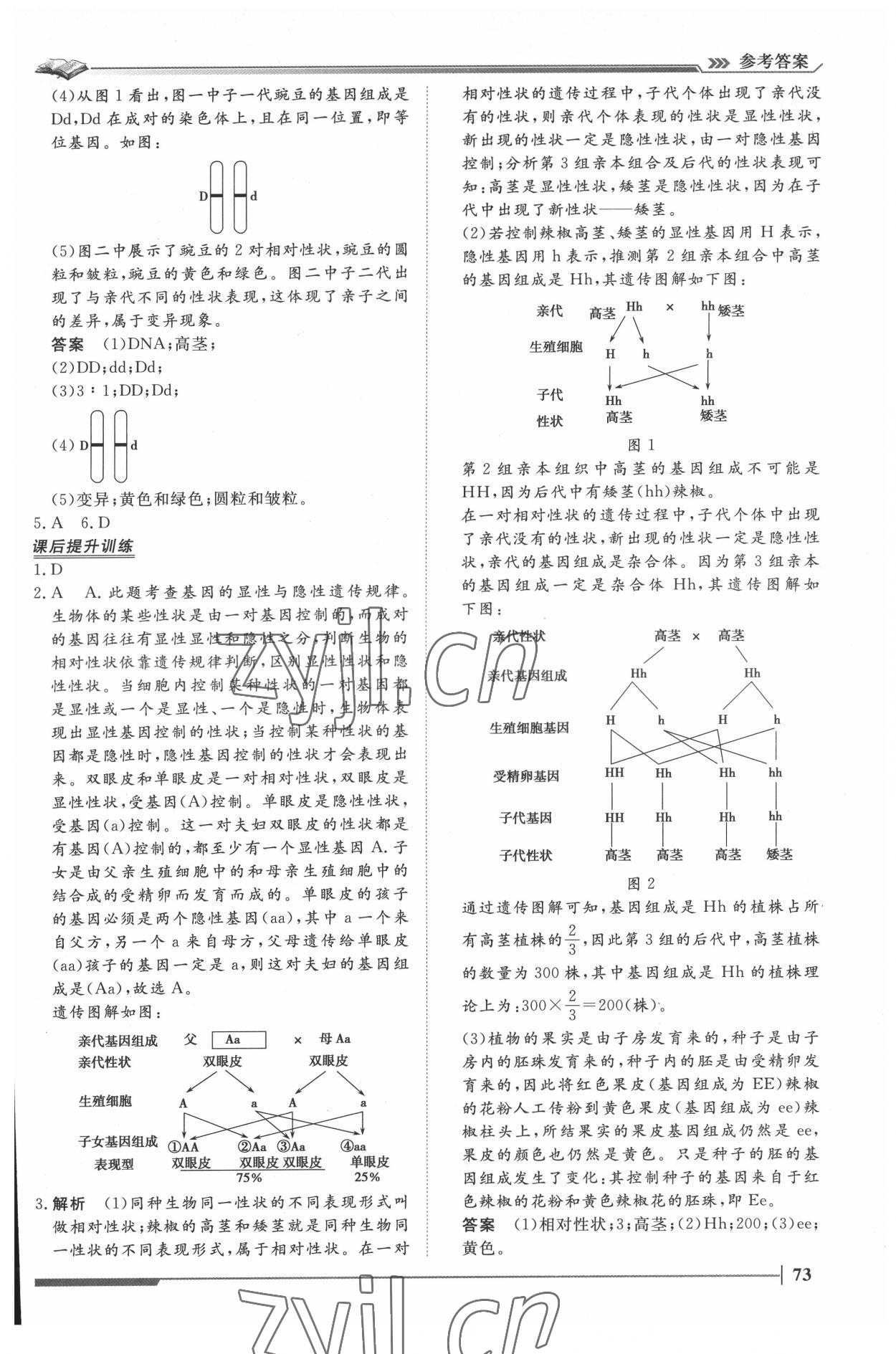 2022年标准课堂八年级生物下册人教版&nbsp;第7页