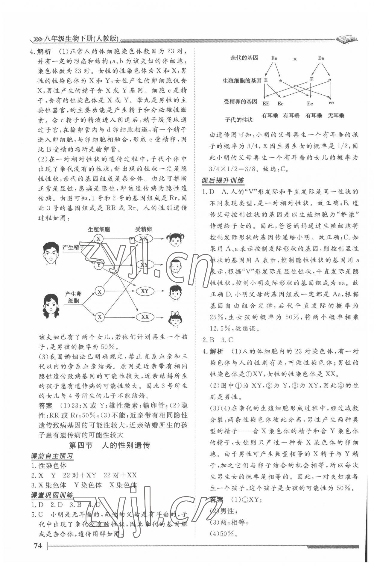 2022年标准课堂八年级生物下册人教版&nbsp;第8页