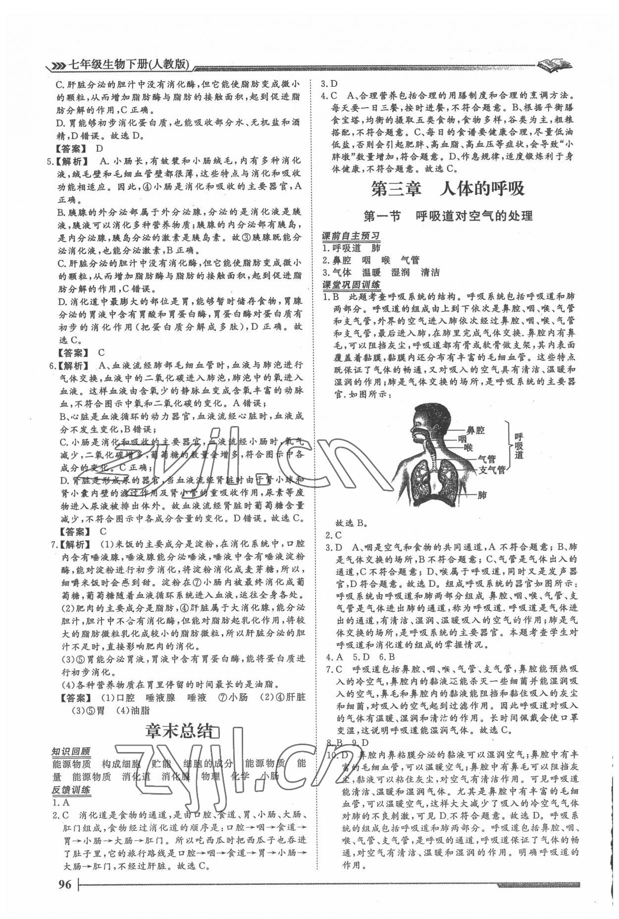 2022年標(biāo)準(zhǔn)課堂七年級(jí)生物下冊(cè)人教版 第6頁(yè)