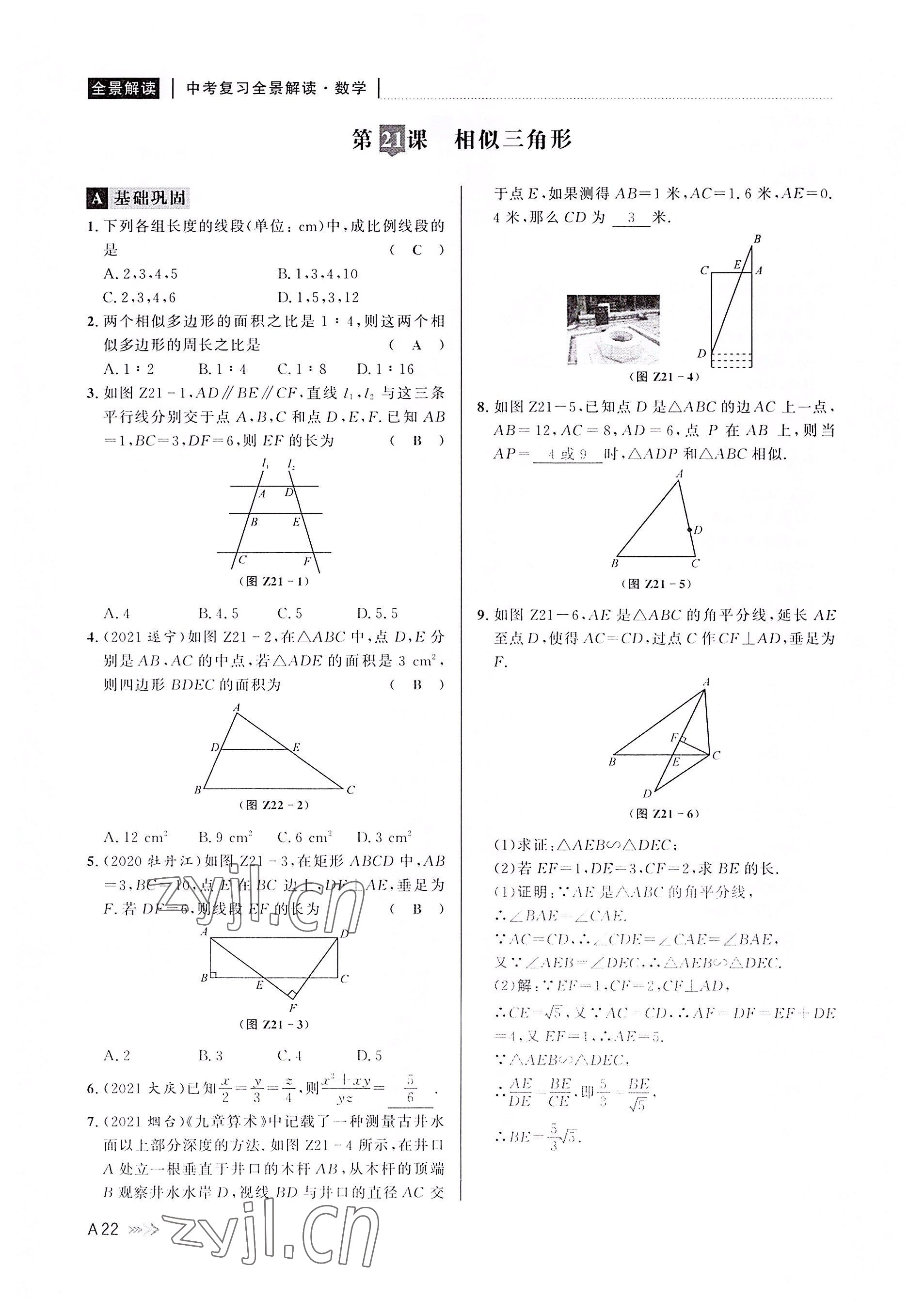 2022年中考復(fù)習(xí)全景解讀數(shù)學(xué)浙教版 參考答案第21頁