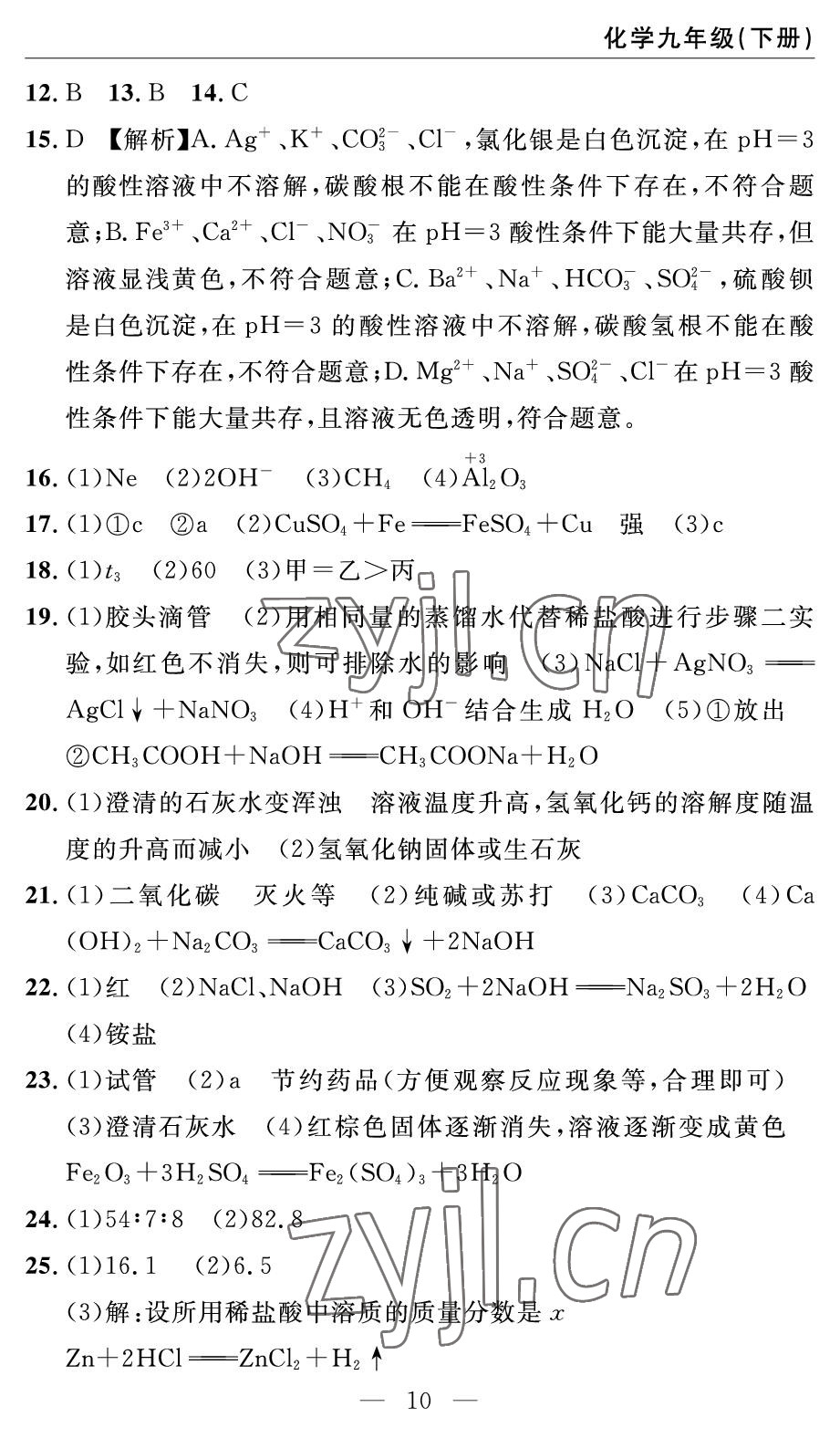 2022年智慧課堂自主評價九年級化學下冊人教版 參考答案第10頁