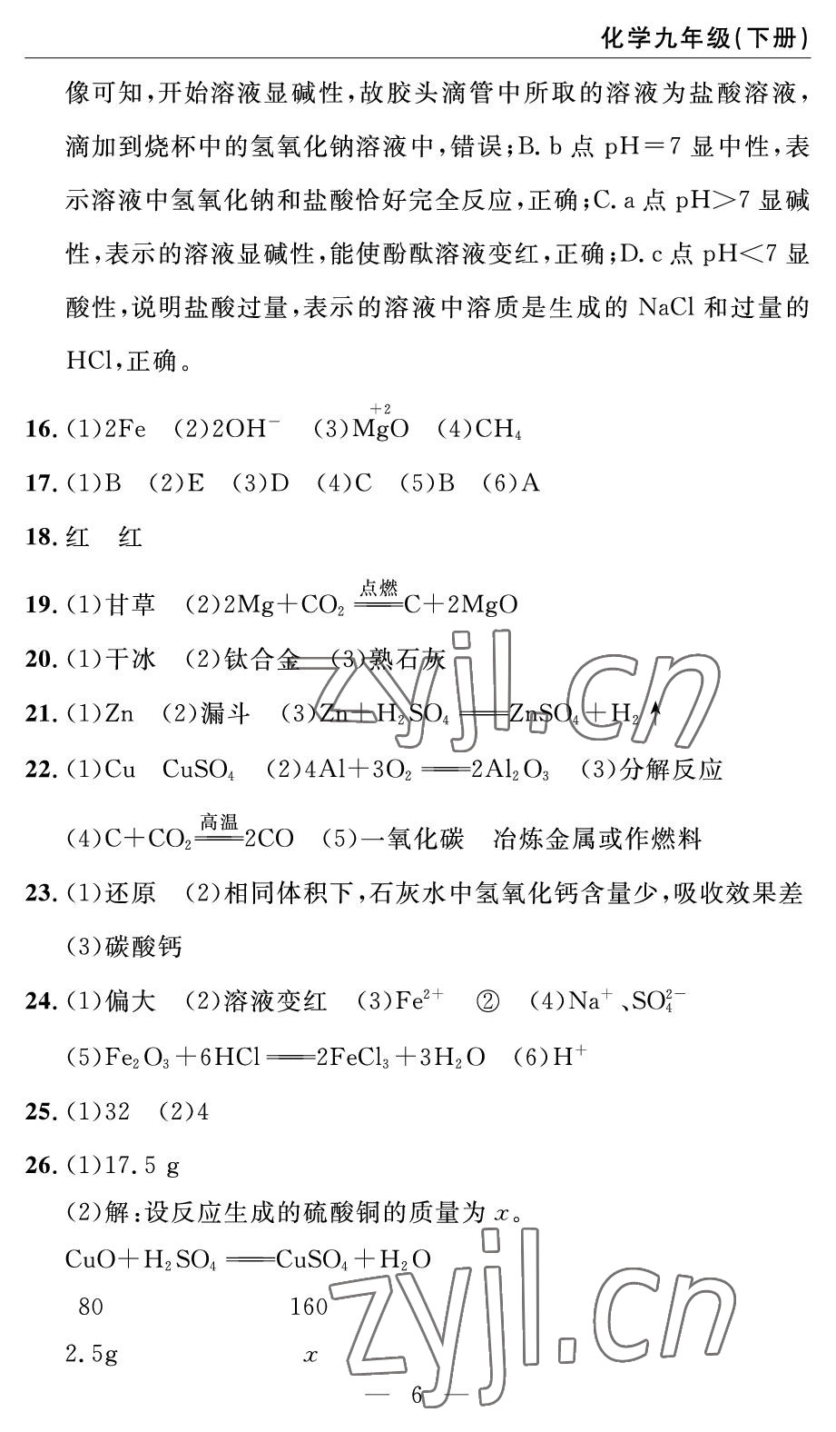 2022年智慧課堂自主評(píng)價(jià)九年級(jí)化學(xué)下冊(cè)人教版 參考答案第6頁