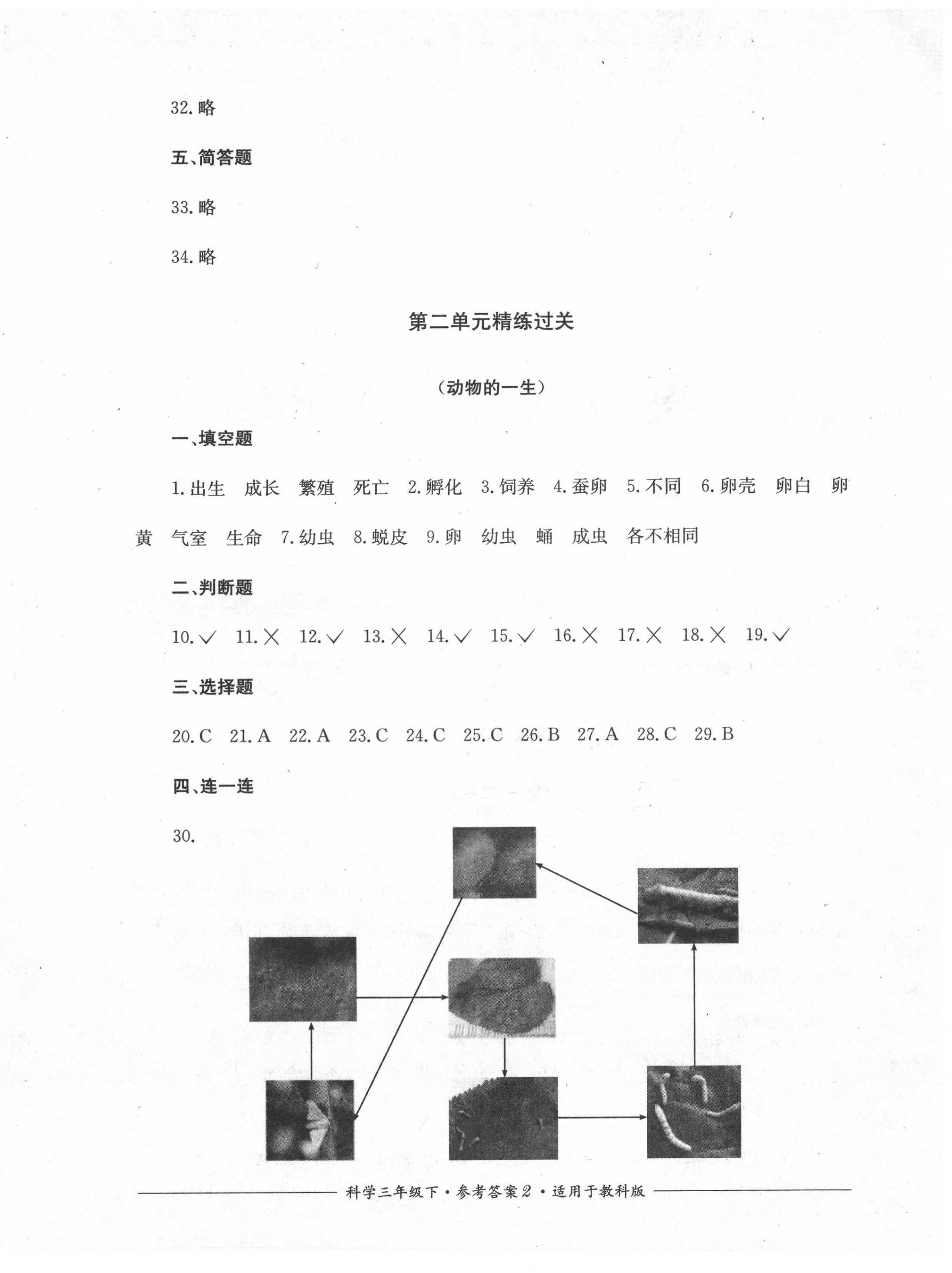 2022年精練過關四川教育出版社三年級科學下冊教科版 第2頁