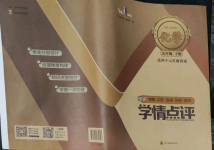 2022年學情點評四川教育出版社九年級化學下冊魯教版