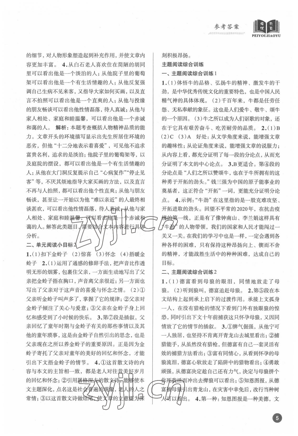 2022年初中語文大閱讀高效訓(xùn)練七年級(jí)人教版 參考答案第5頁