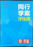 2022年同行学案学练测九年级历史下册人教版