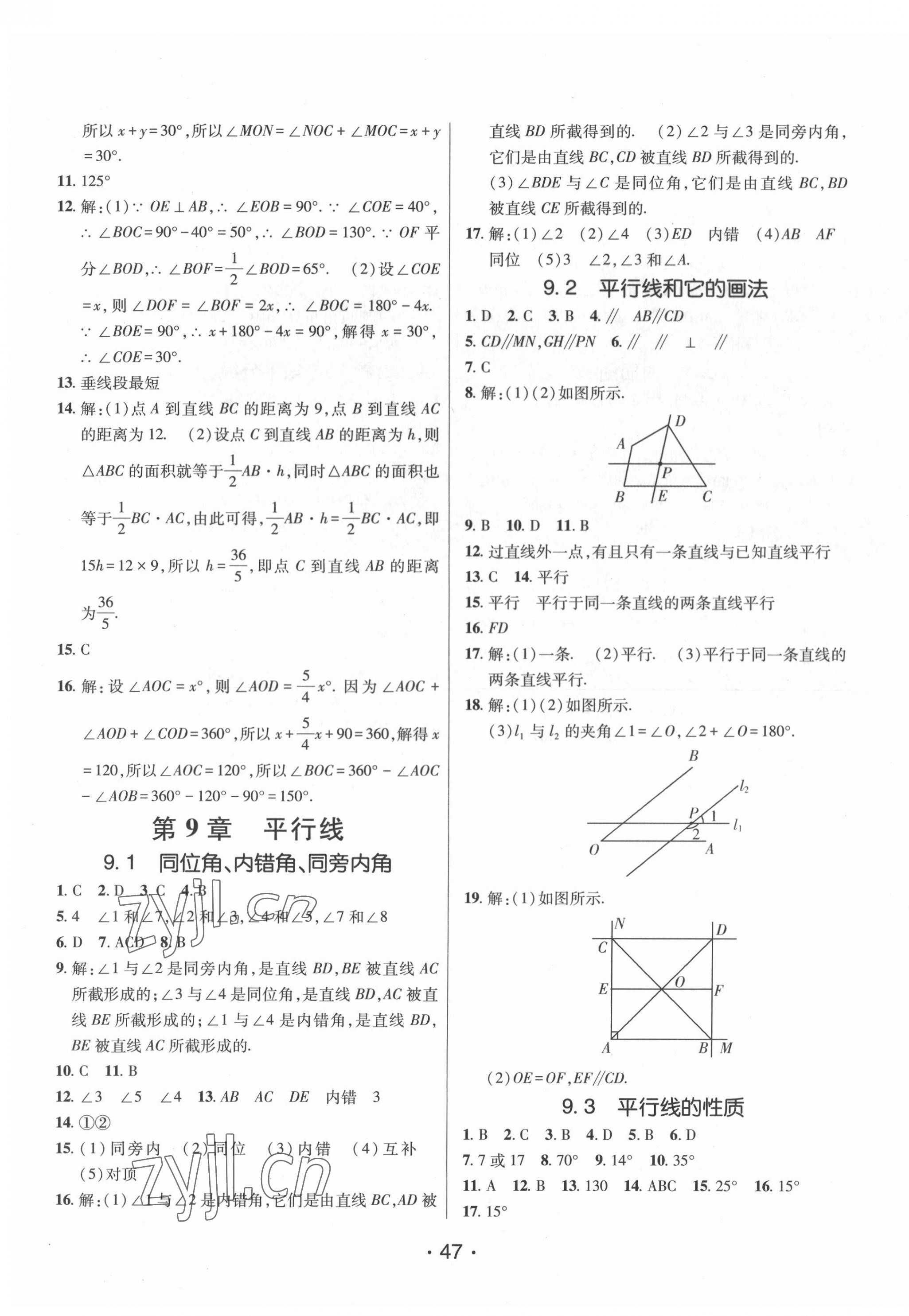 2022年同行学案学练测七年级数学下册青岛版 第3页