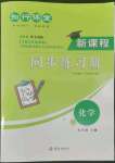 2022年新課程同步練習(xí)冊知行課堂九年級化學(xué)下冊人教版