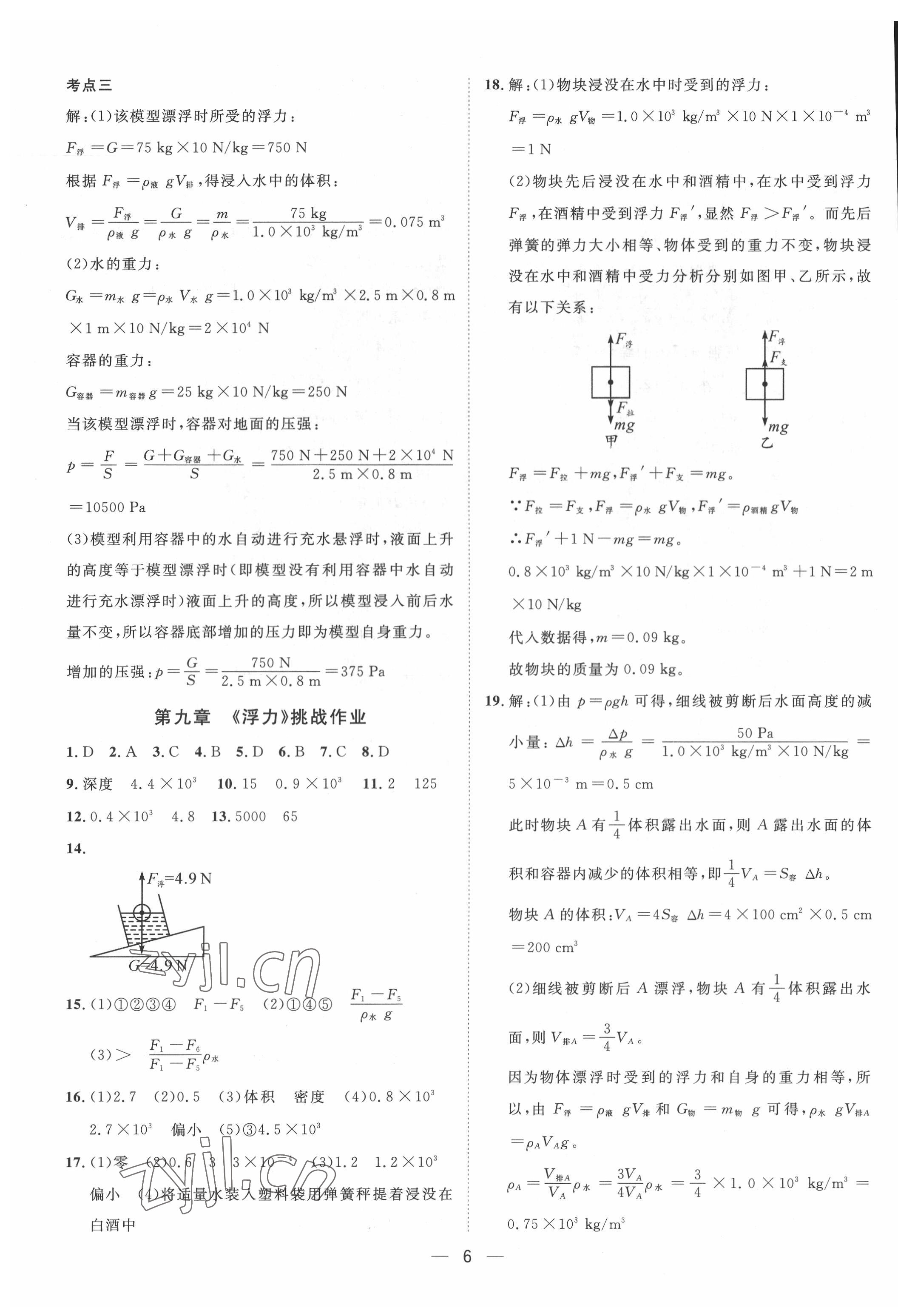 2022年名師課堂八年級(jí)物理下冊(cè)滬科版 第6頁