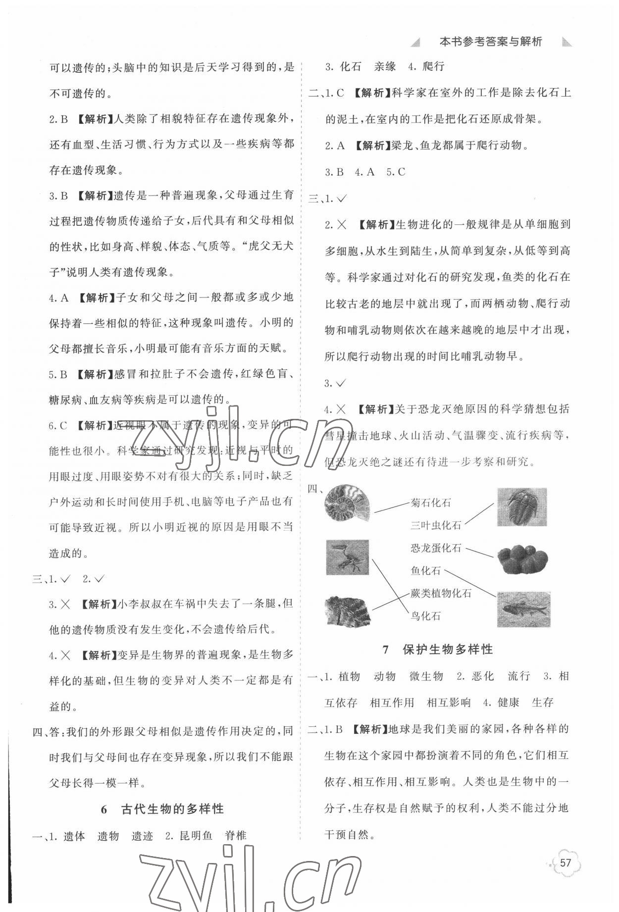 2022年七彩同步訓(xùn)練六年級(jí)科學(xué)下冊(cè)教科版 參考答案第6頁