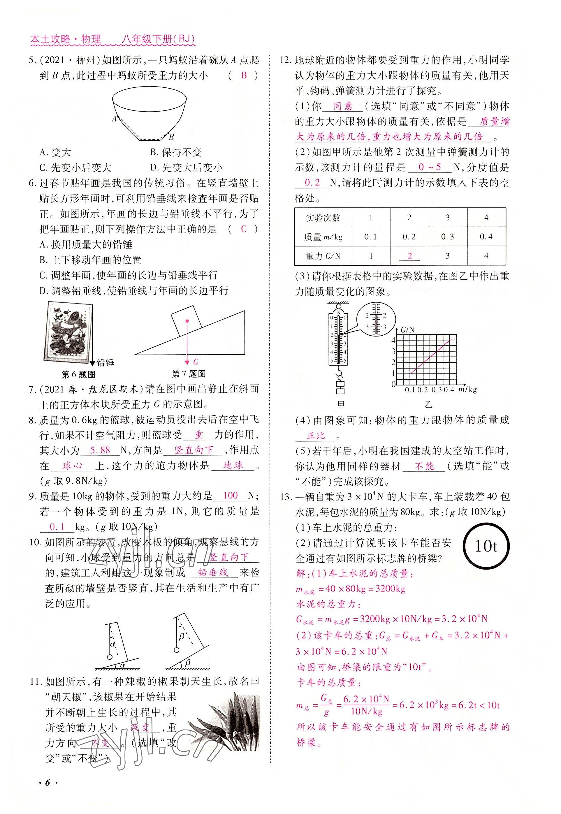 2022年本土攻略八年级物理下册人教版 参考答案第6页