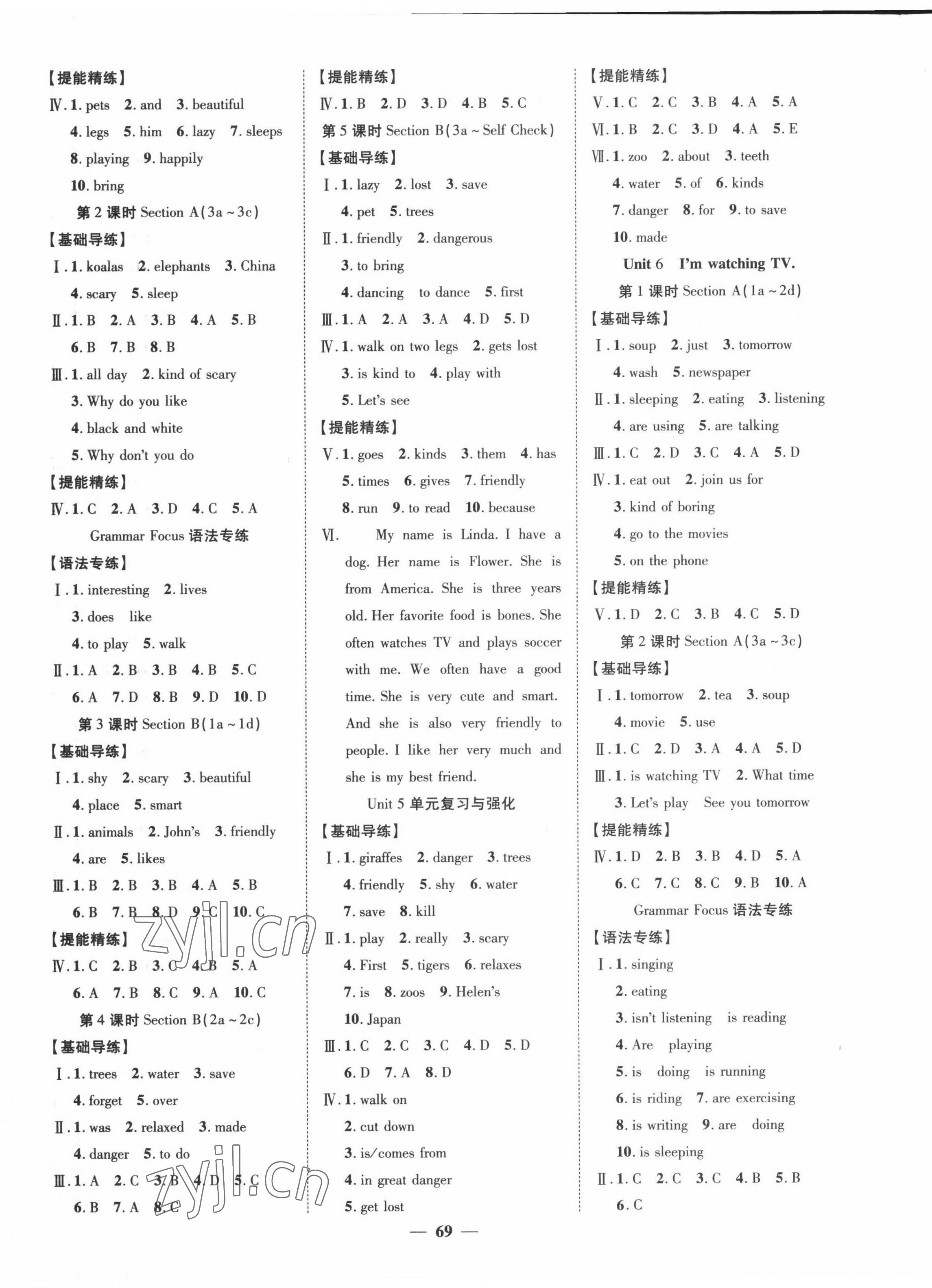 2022年本土教輔名校學(xué)案初中生輔導(dǎo)七年級(jí)英語下冊(cè)人教版荊州專版 第5頁